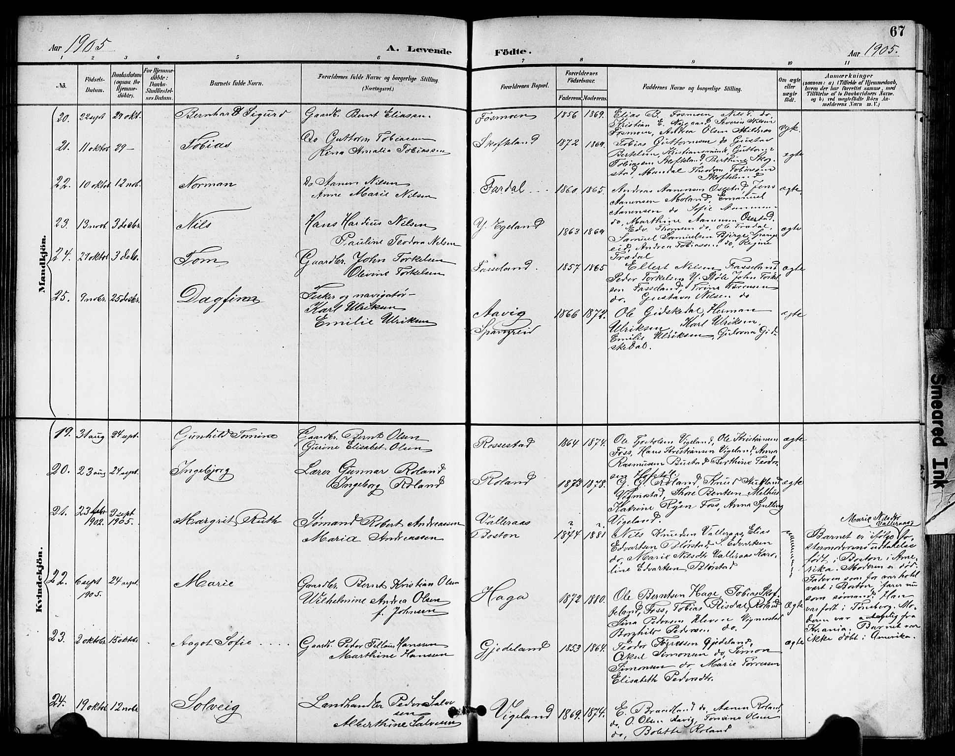 Sør-Audnedal sokneprestkontor, SAK/1111-0039/F/Fb/Fbb/L0006: Parish register (copy) no. B 6, 1893-1915, p. 67
