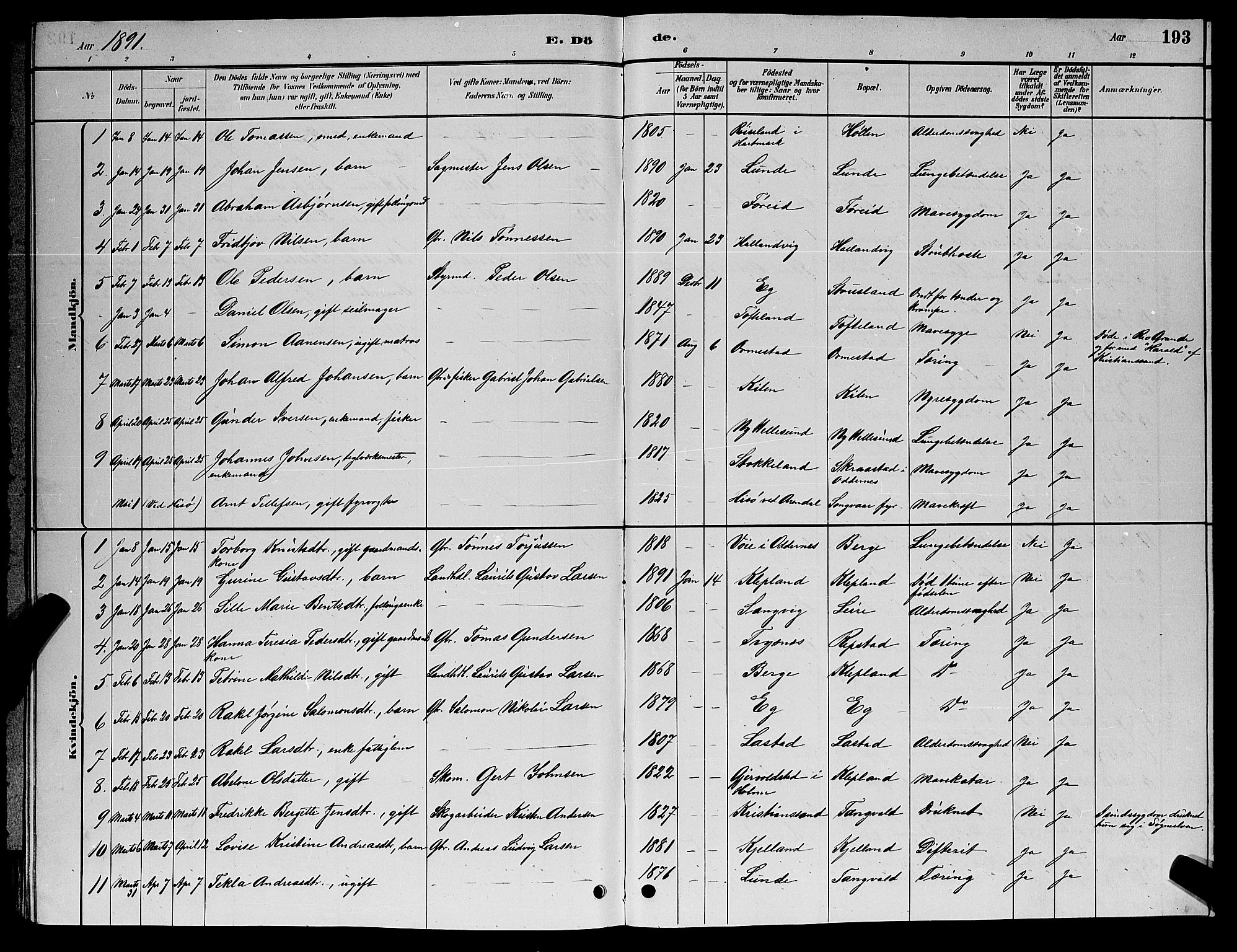 Søgne sokneprestkontor, SAK/1111-0037/F/Fb/Fbb/L0005: Parish register (copy) no. B 5, 1884-1891, p. 193