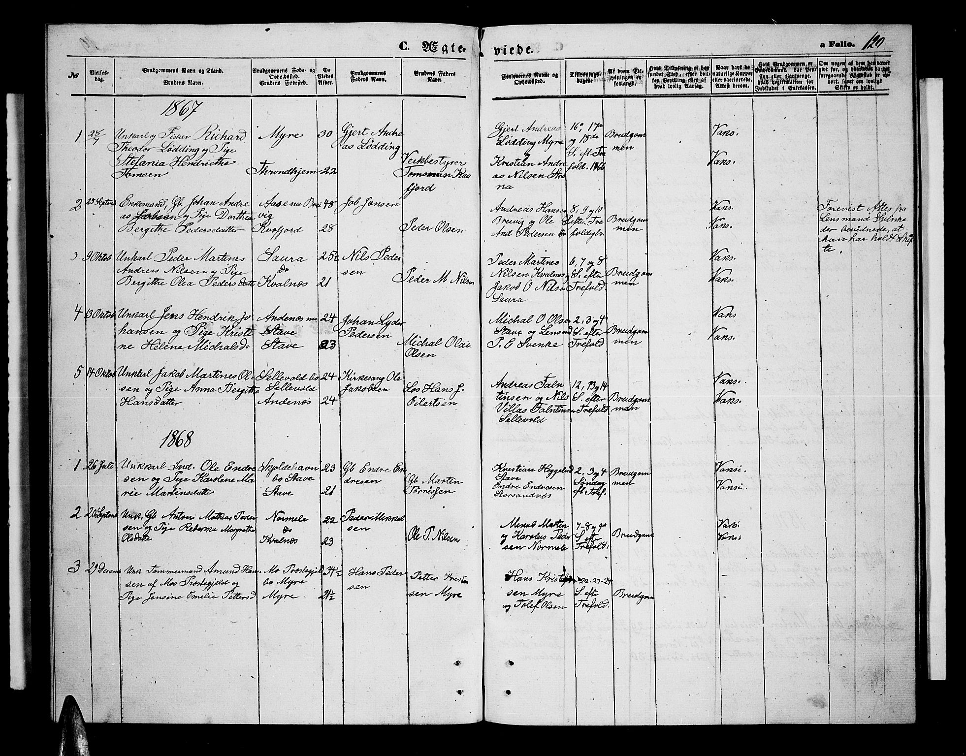 Ministerialprotokoller, klokkerbøker og fødselsregistre - Nordland, AV/SAT-A-1459/897/L1412: Parish register (copy) no. 897C02, 1867-1886, p. 120