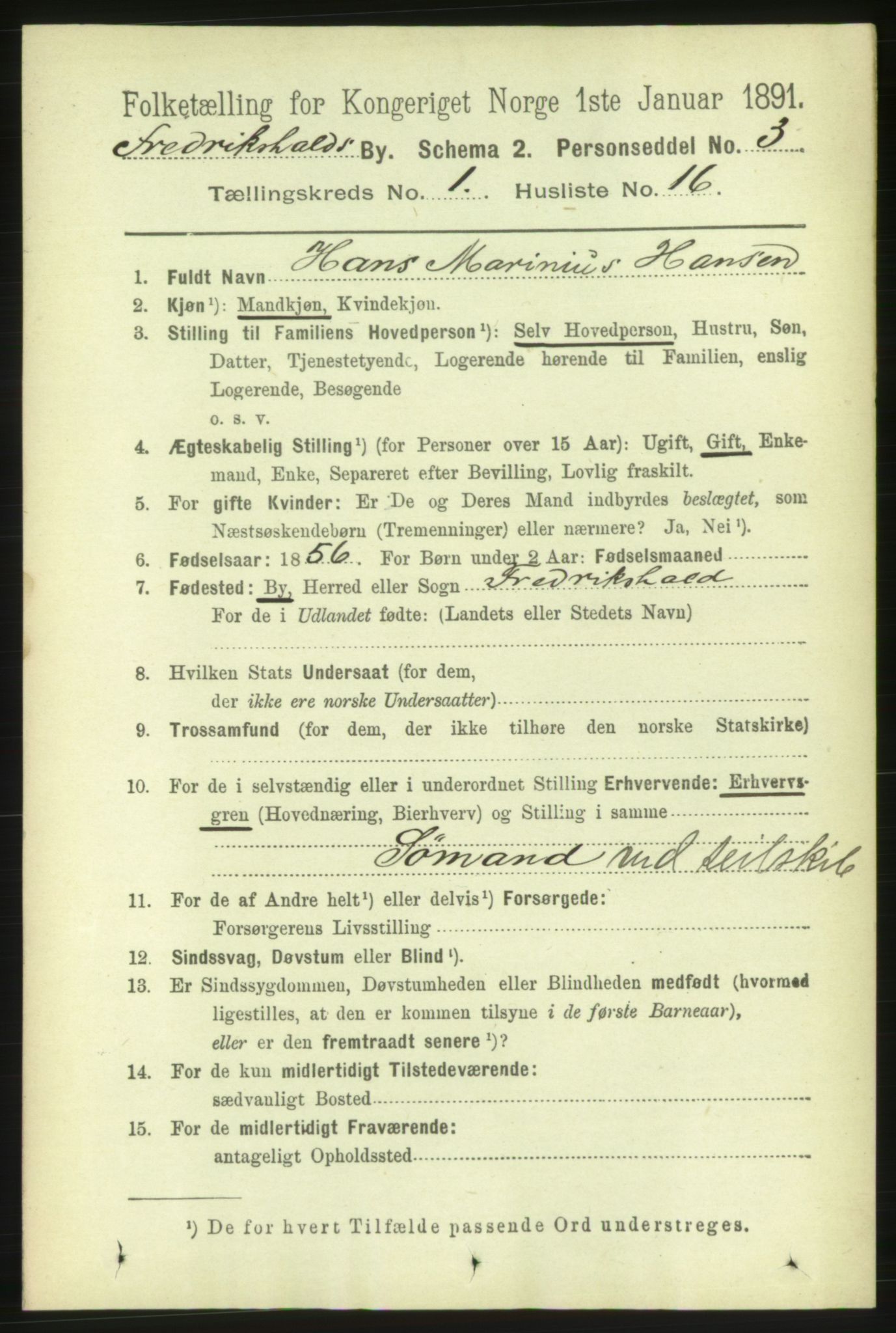 RA, 1891 census for 0101 Fredrikshald, 1891, p. 2061