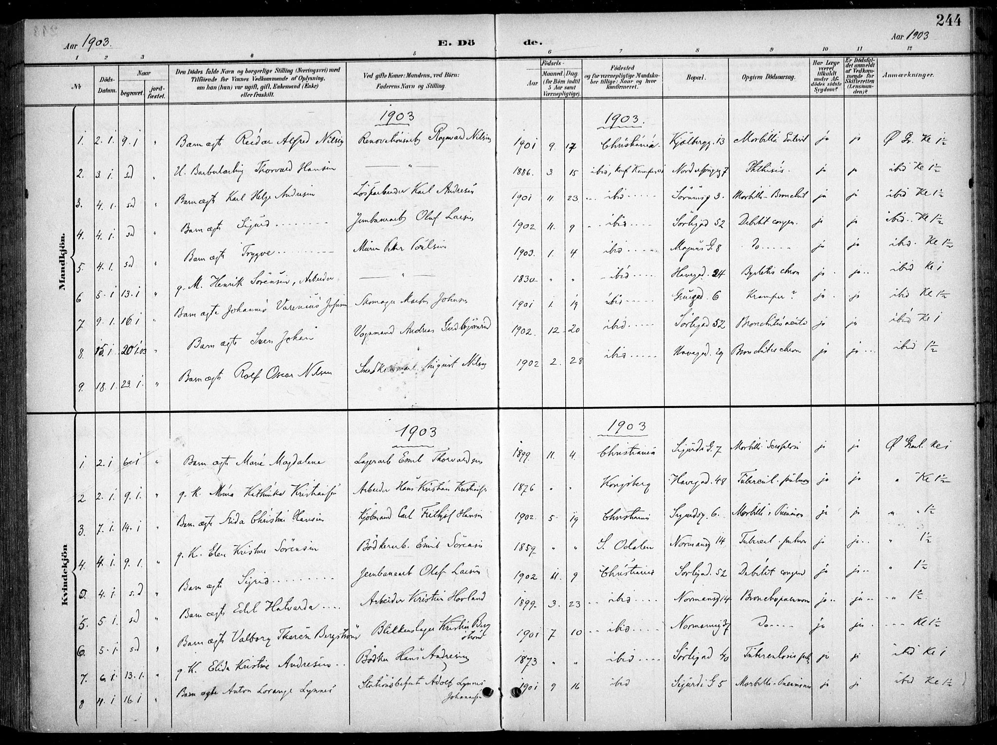 Kampen prestekontor Kirkebøker, AV/SAO-A-10853/F/Fa/L0009: Parish register (official) no. I 9, 1899-1911, p. 244