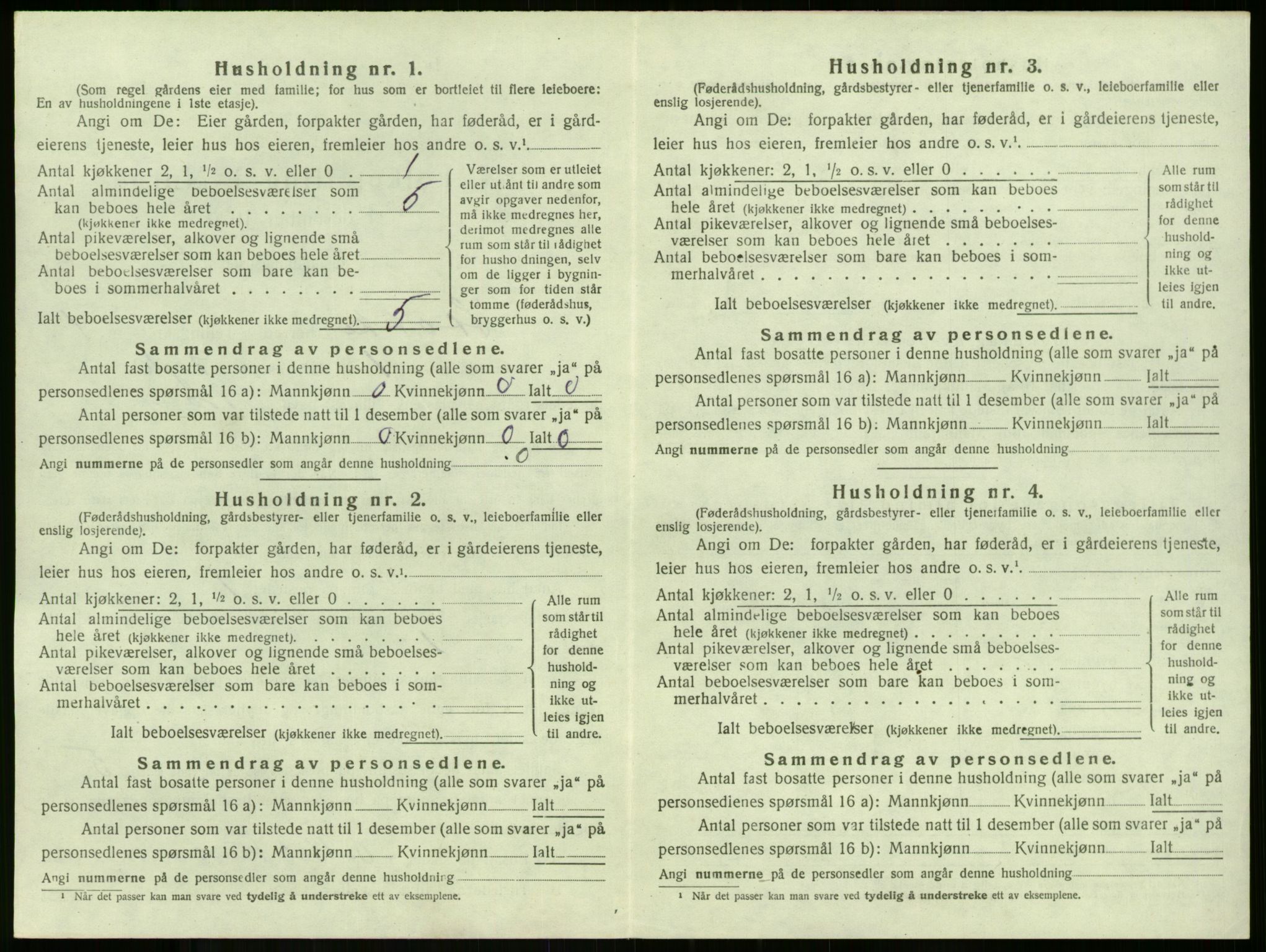 SAKO, 1920 census for Stokke, 1920, p. 248