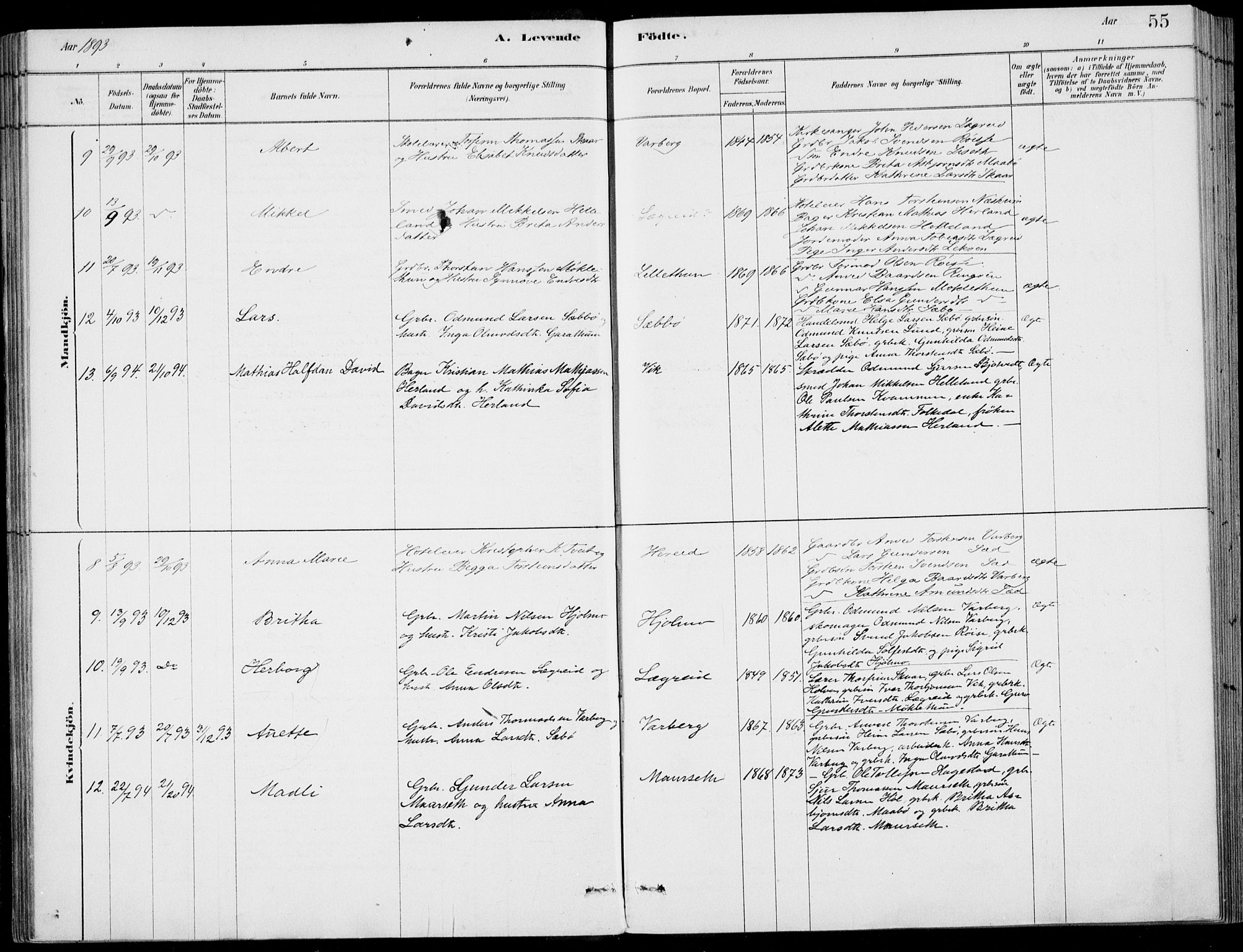 Ulvik sokneprestembete, SAB/A-78801/H/Haa: Parish register (official) no. D  1, 1878-1903, p. 55