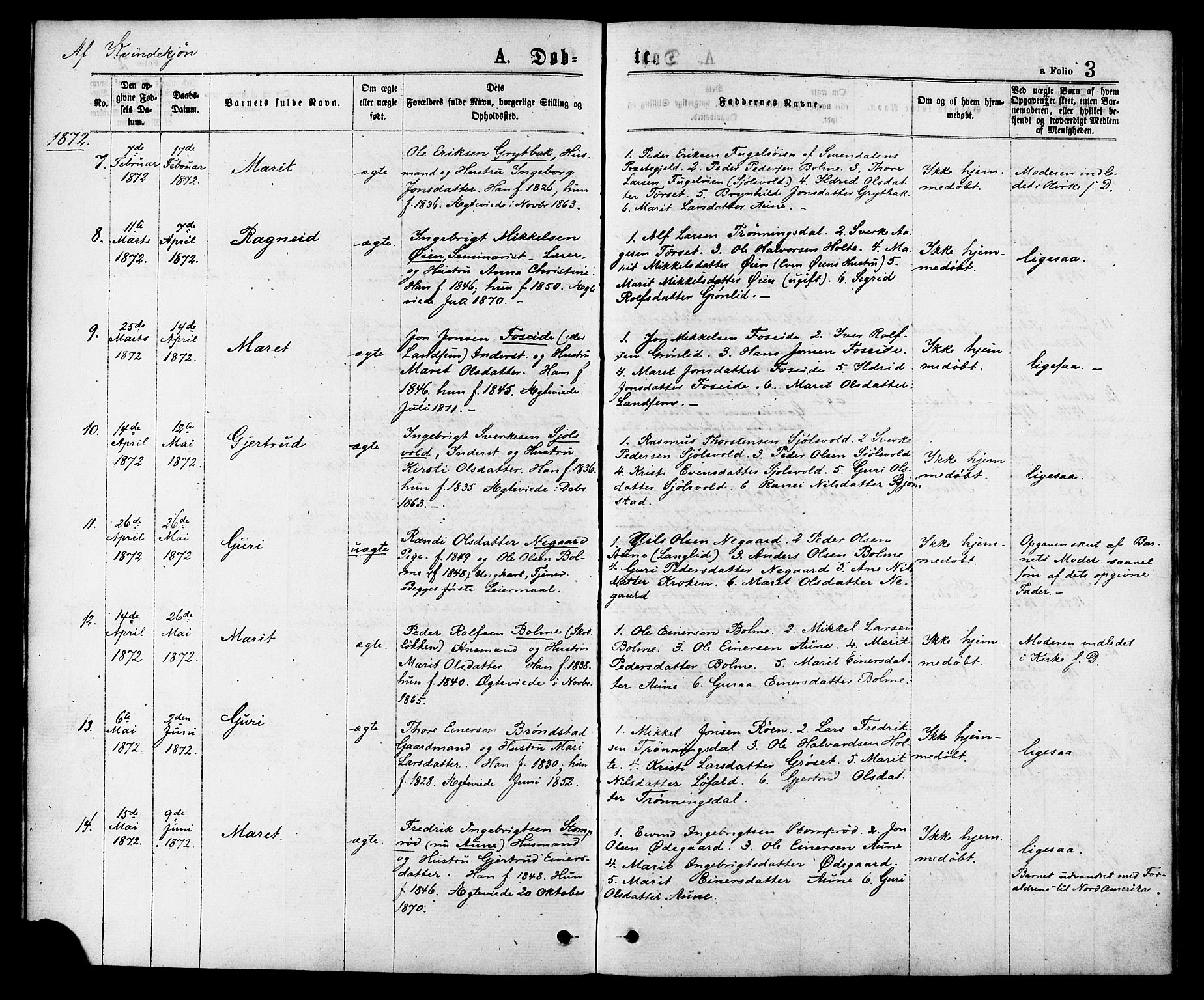 Ministerialprotokoller, klokkerbøker og fødselsregistre - Møre og Romsdal, AV/SAT-A-1454/598/L1068: Parish register (official) no. 598A02, 1872-1881, p. 3