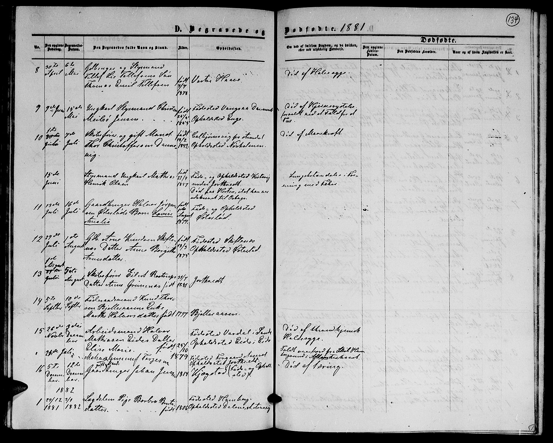 Hommedal sokneprestkontor, AV/SAK-1111-0023/F/Fb/Fba/L0003: Parish register (copy) no. B 3, 1863-1884, p. 134