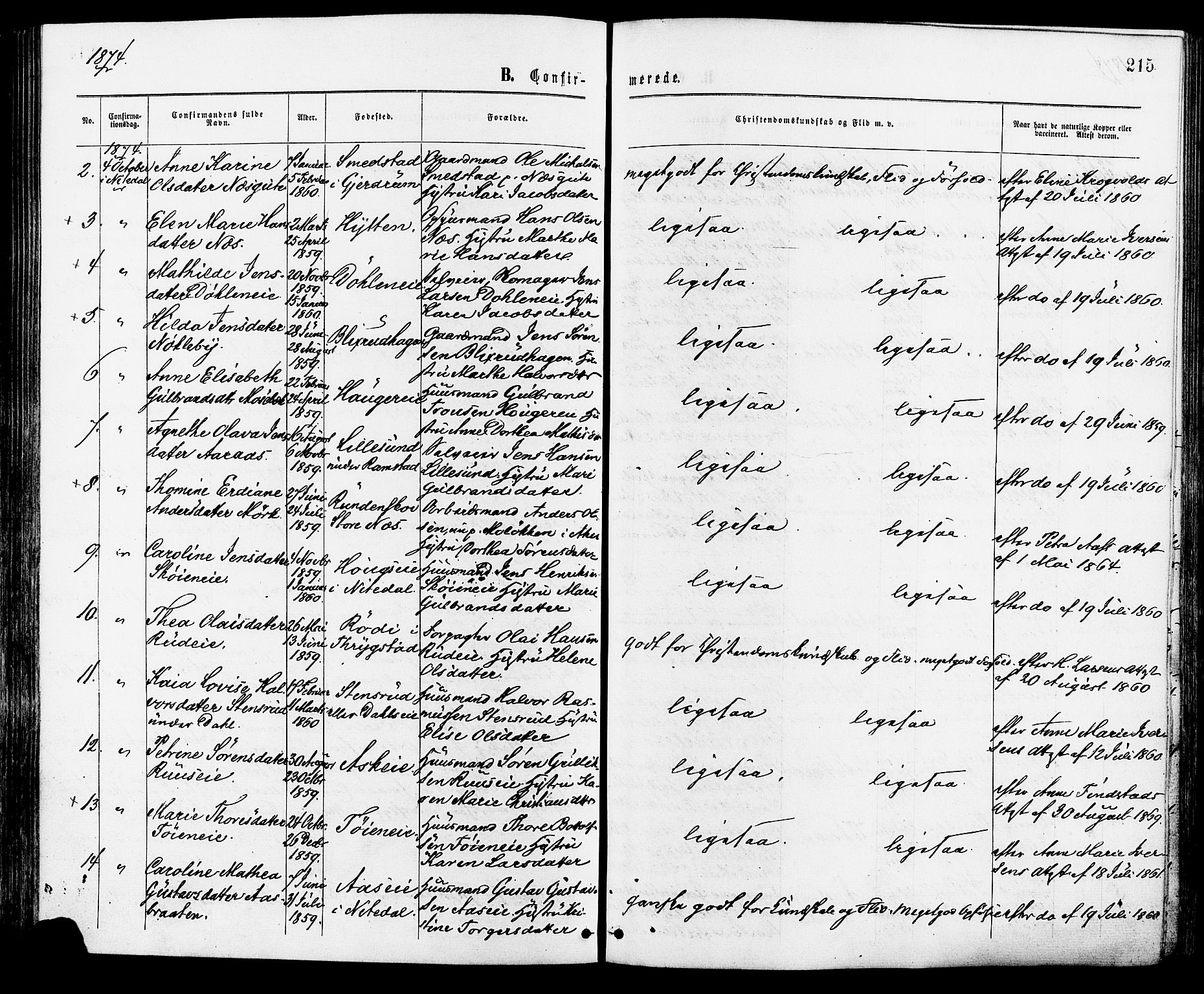 Nittedal prestekontor Kirkebøker, AV/SAO-A-10365a/F/Fa/L0006: Parish register (official) no. I 6, 1863-1878, p. 215