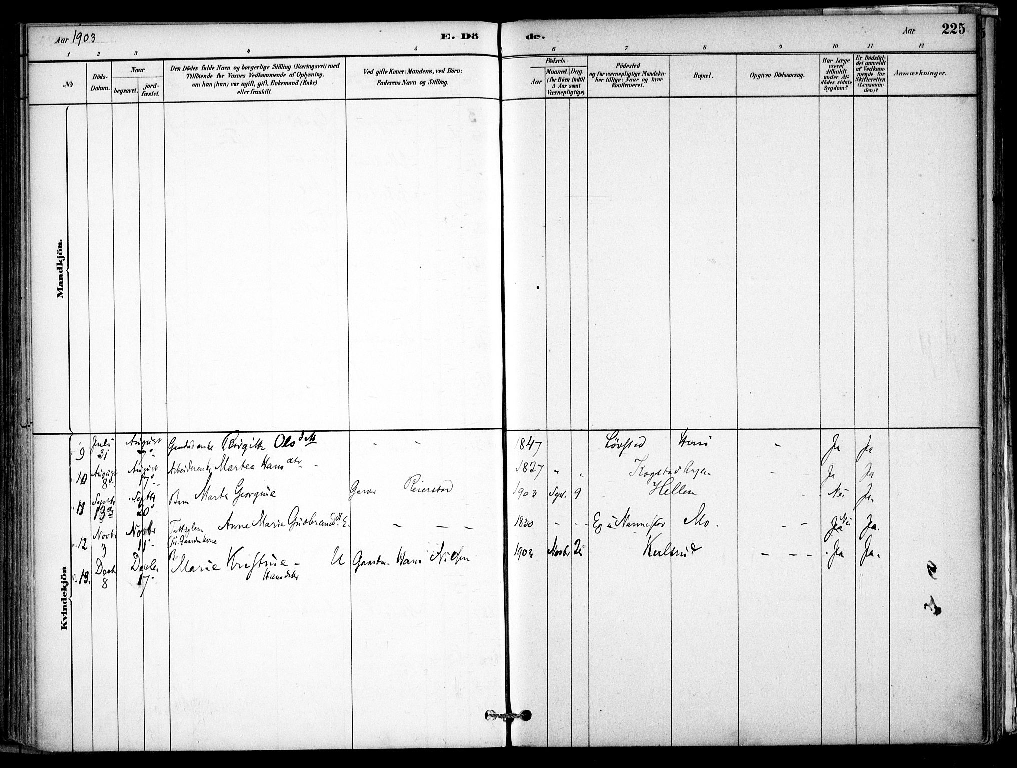 Gjerdrum prestekontor Kirkebøker, AV/SAO-A-10412b/F/Fb/L0001: Parish register (official) no. II 1, 1881-1921, p. 225