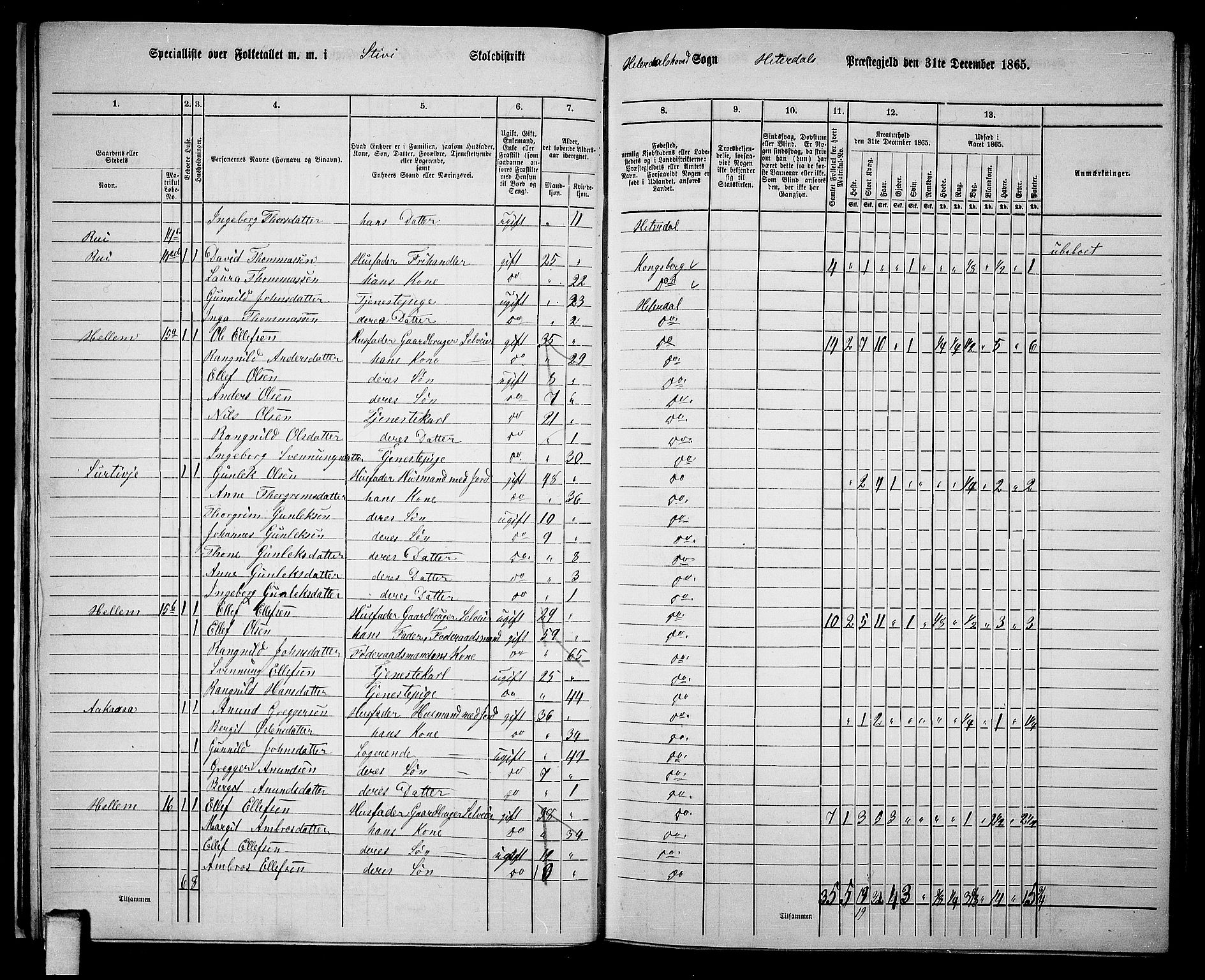 RA, 1865 census for Heddal, 1865, p. 23