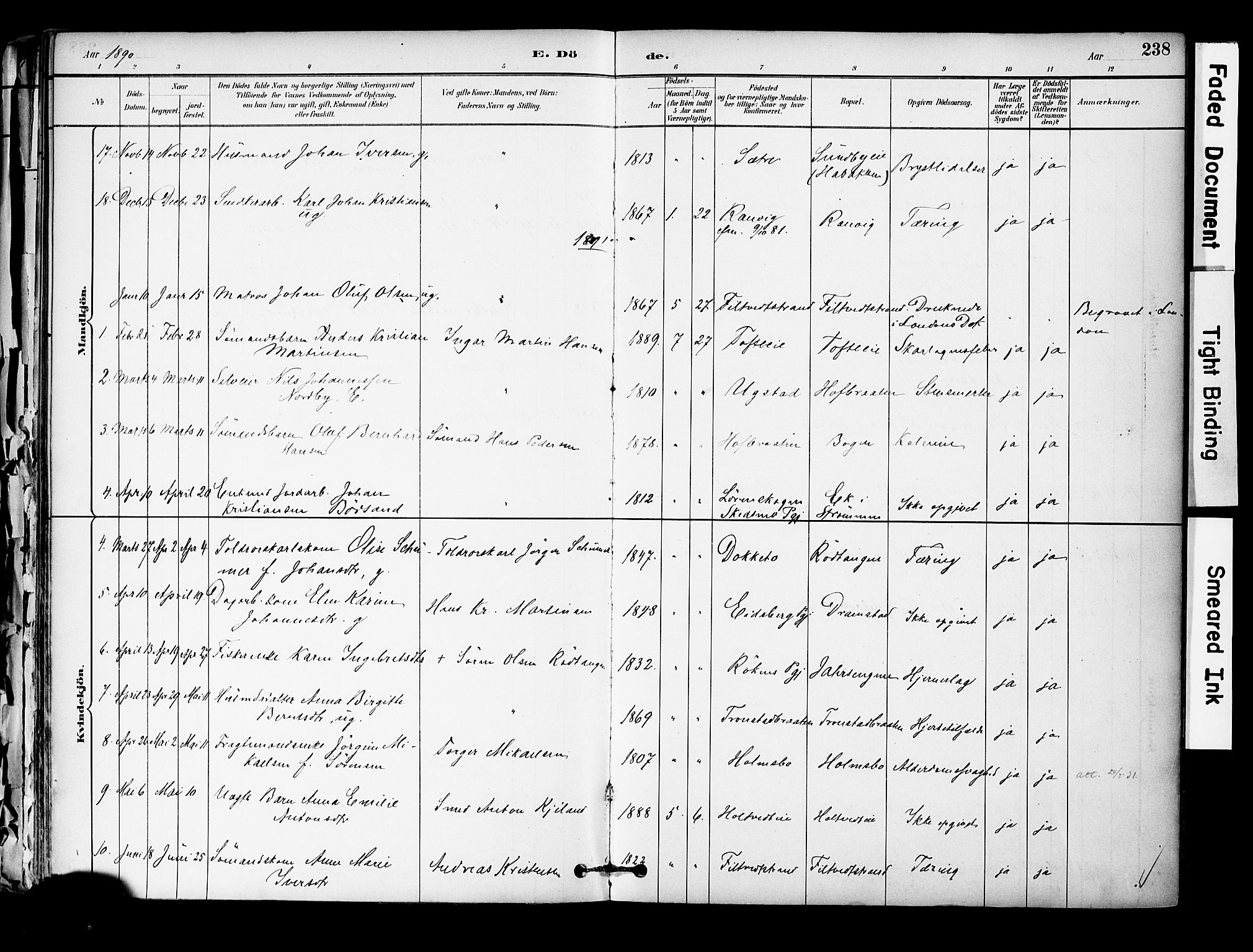 Hurum kirkebøker, SAKO/A-229/F/Fa/L0014: Parish register (official) no. 14, 1882-1895, p. 238