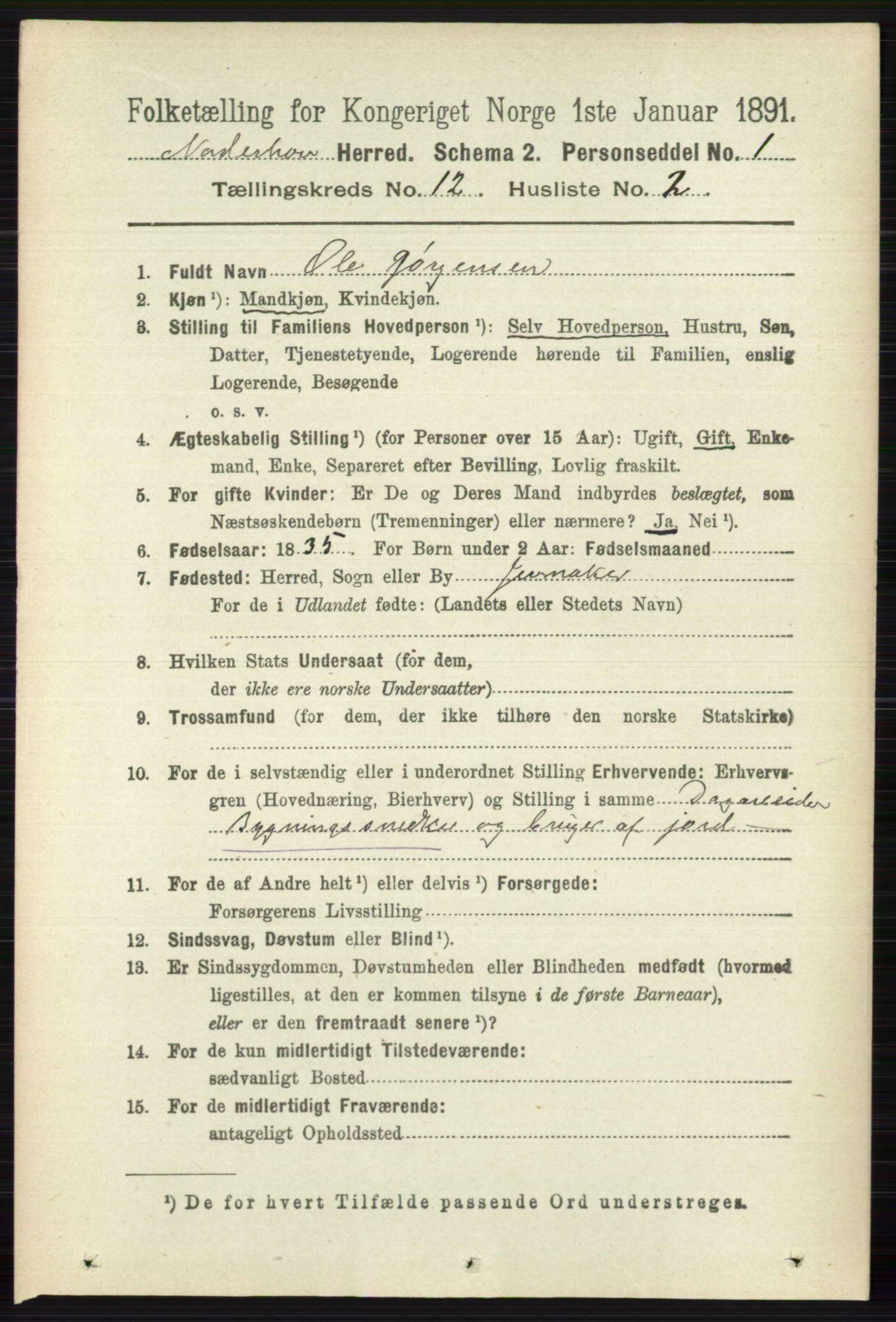 RA, 1891 census for 0613 Norderhov, 1891, p. 8542