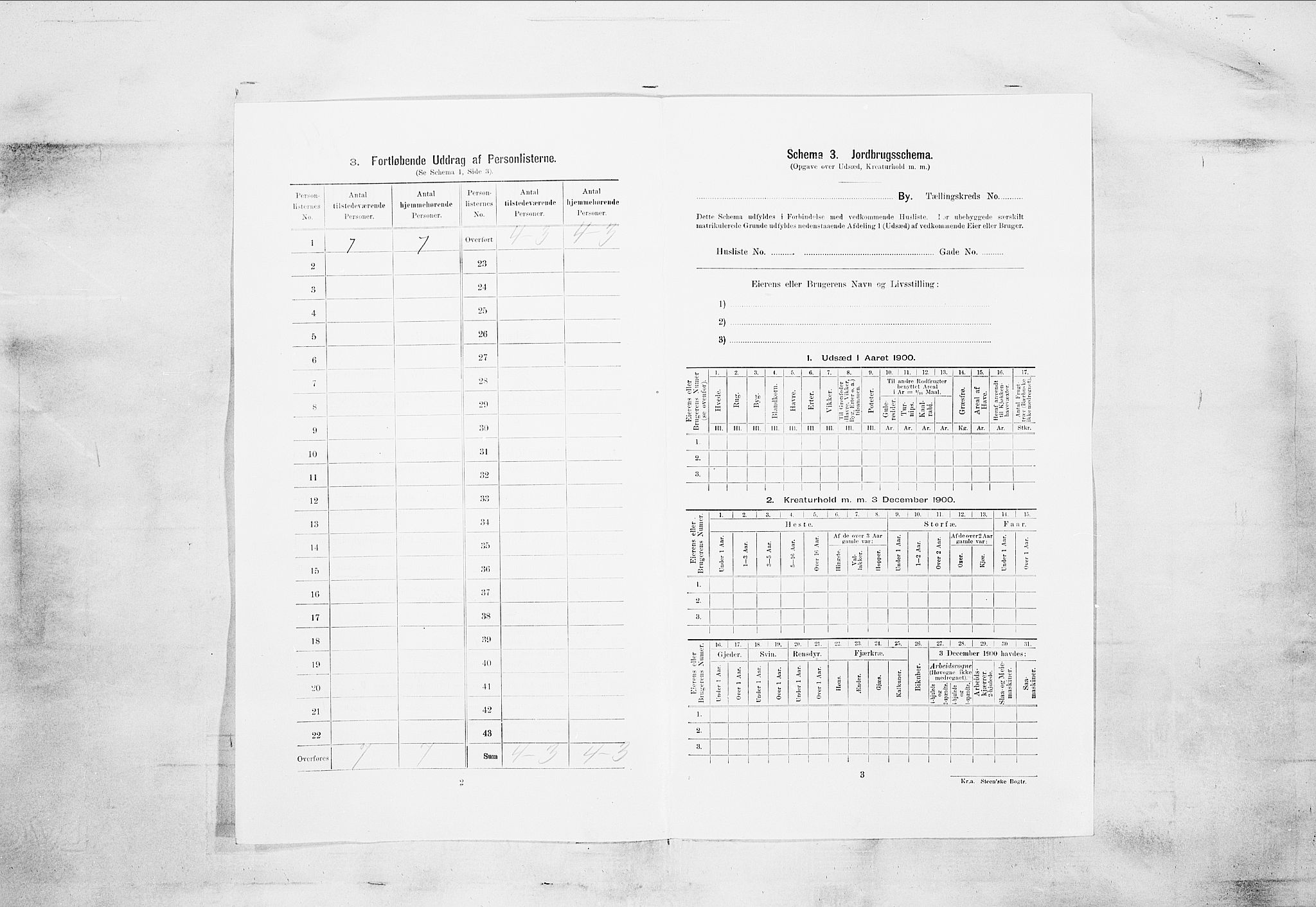 SAKO, 1900 census for Porsgrunn, 1900, p. 3418