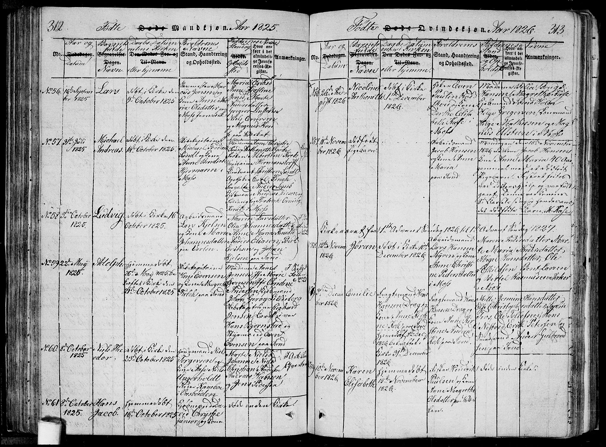 Moss prestekontor Kirkebøker, SAO/A-2003/F/Fa/L0005: Parish register (official) no. I 5, 1814-1828, p. 312-313