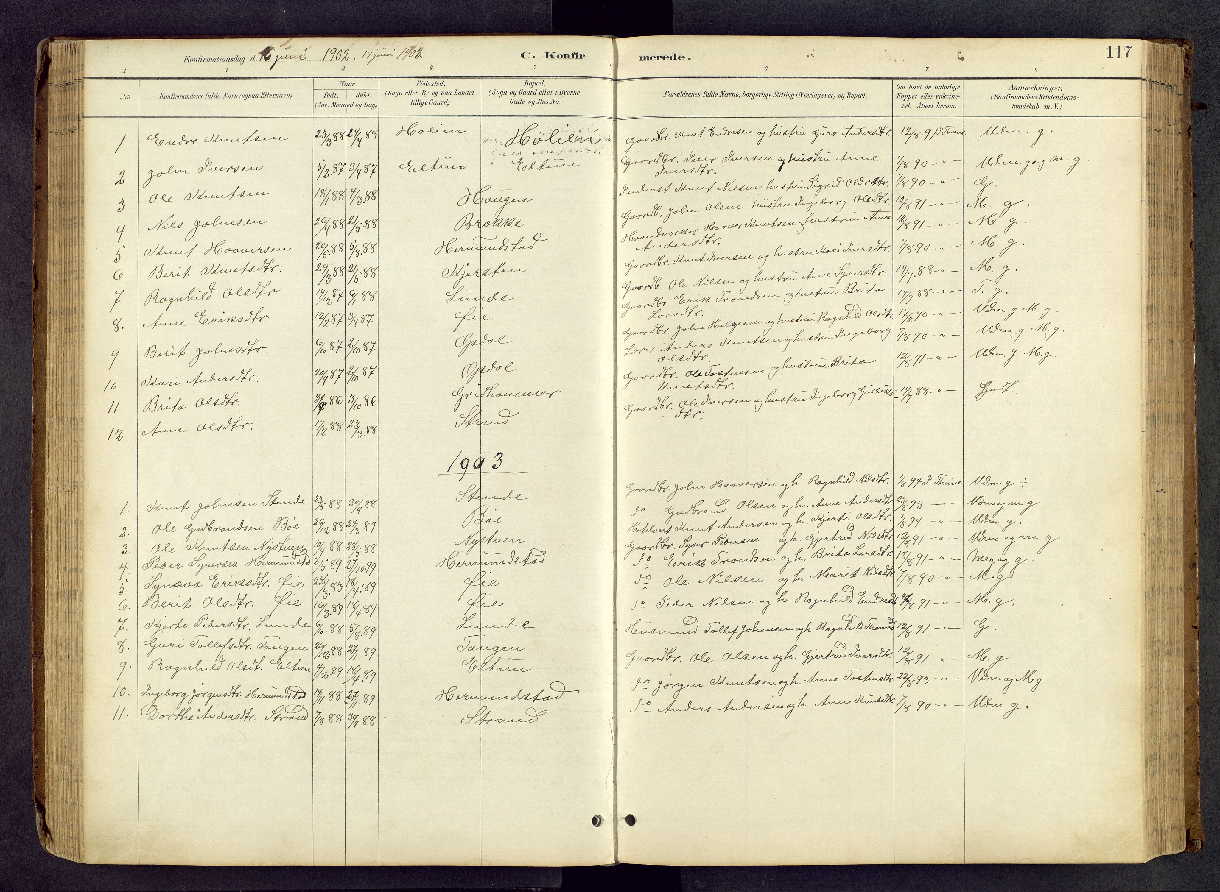 Vang prestekontor, Valdres, SAH/PREST-140/H/Hb/L0005: Parish register (copy) no. 5, 1889-1945, p. 117