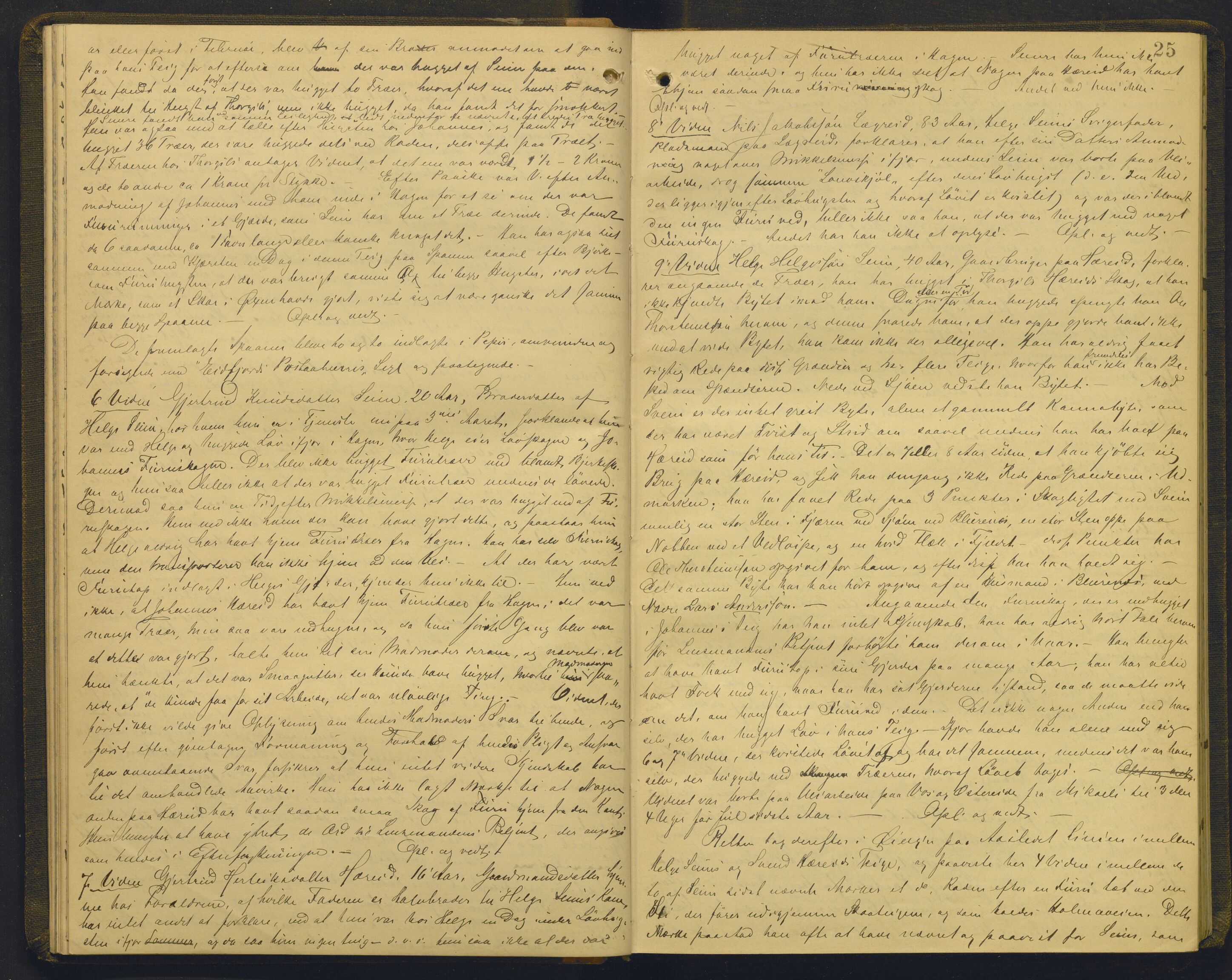Hardanger og Voss sorenskriveri, AV/SAB-A-2501/1/1B/1Bd/L0004: Ekstrarettsprotokoll for Hardanger og Voss, 1895-1897, p. 24b-25a