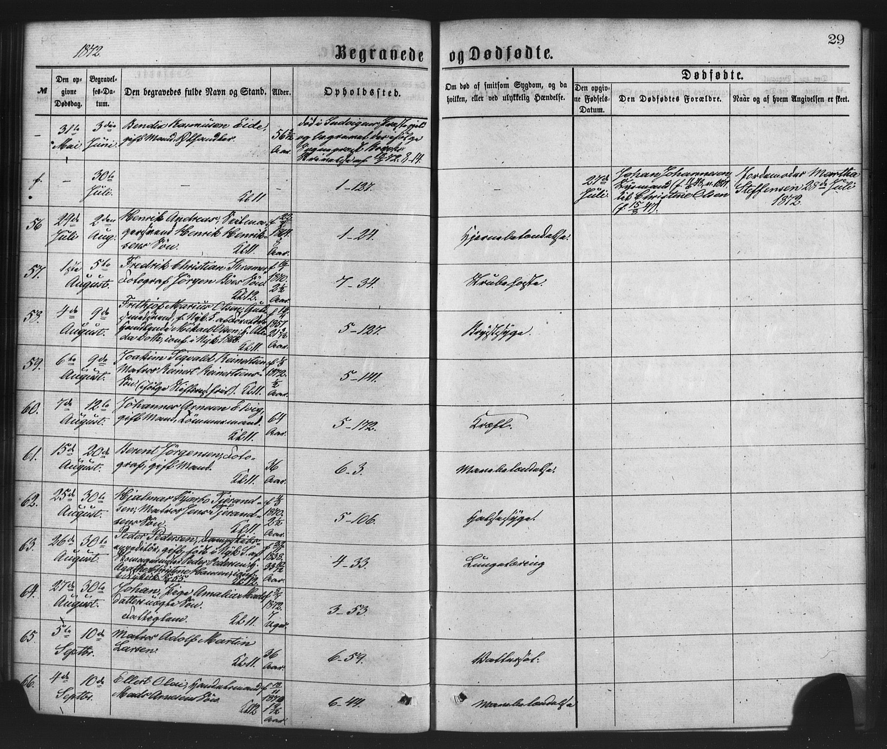Nykirken Sokneprestembete, SAB/A-77101/H/Haa/L0043: Parish register (official) no. E 3, 1869-1882, p. 29