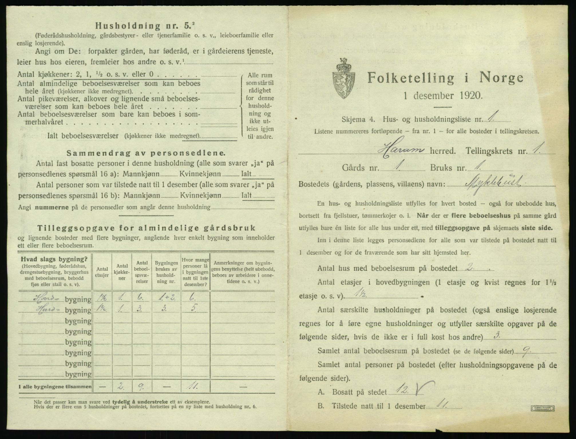 SAT, 1920 census for Haram, 1920, p. 49