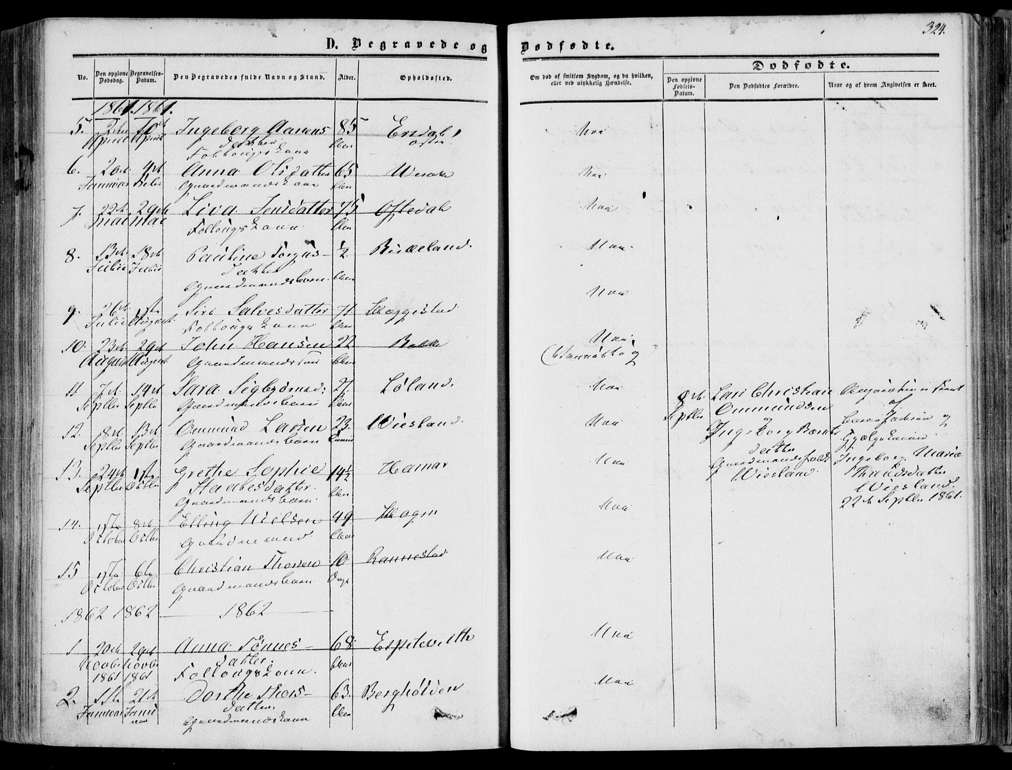 Bakke sokneprestkontor, SAK/1111-0002/F/Fa/Faa/L0006: Parish register (official) no. A 6, 1855-1877, p. 324