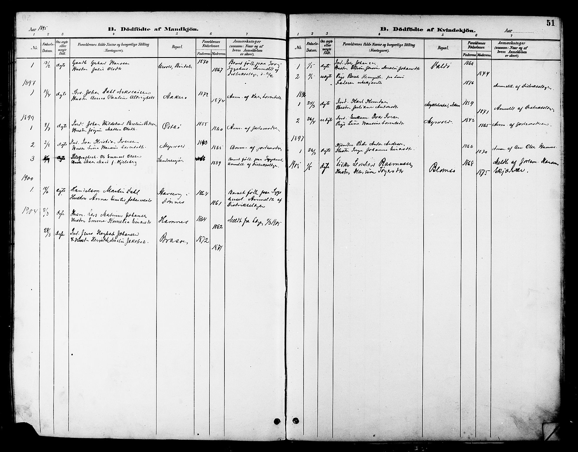 Ministerialprotokoller, klokkerbøker og fødselsregistre - Nordland, AV/SAT-A-1459/830/L0463: Parish register (copy) no. 830C05, 1895-1906, p. 51