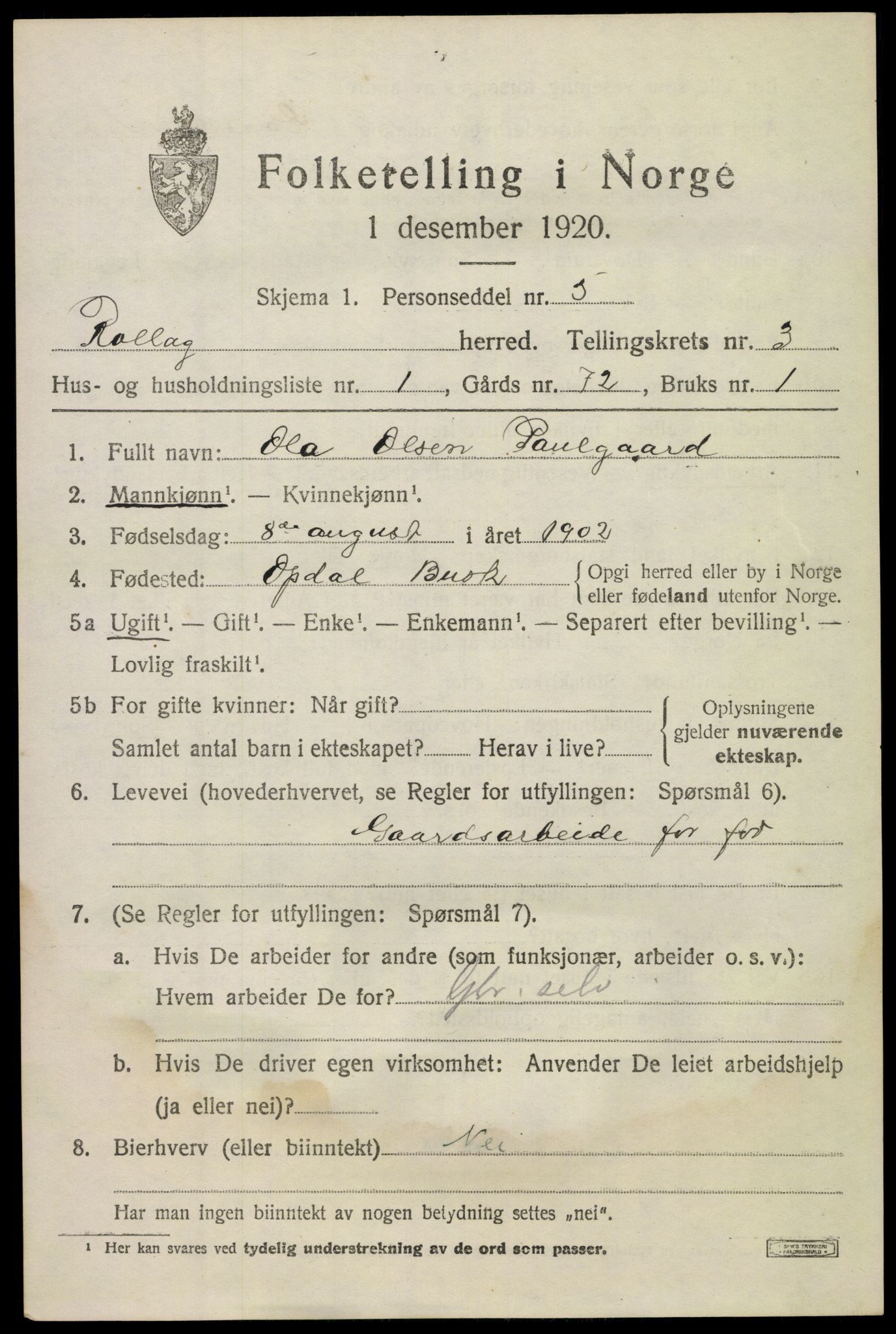 SAKO, 1920 census for Rollag, 1920, p. 1324