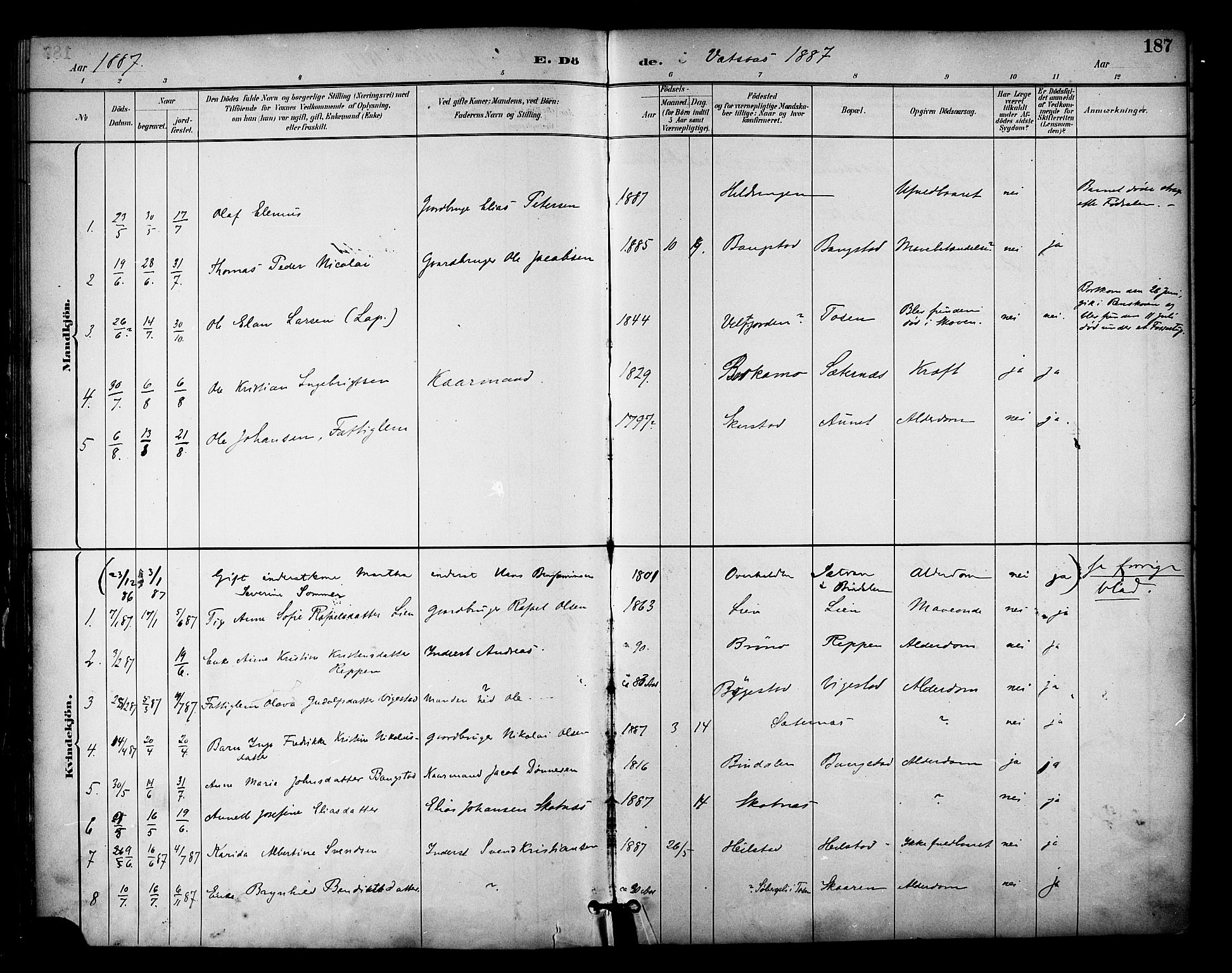 Ministerialprotokoller, klokkerbøker og fødselsregistre - Nordland, AV/SAT-A-1459/810/L0150: Parish register (official) no. 810A10 /1, 1884-1895, p. 187