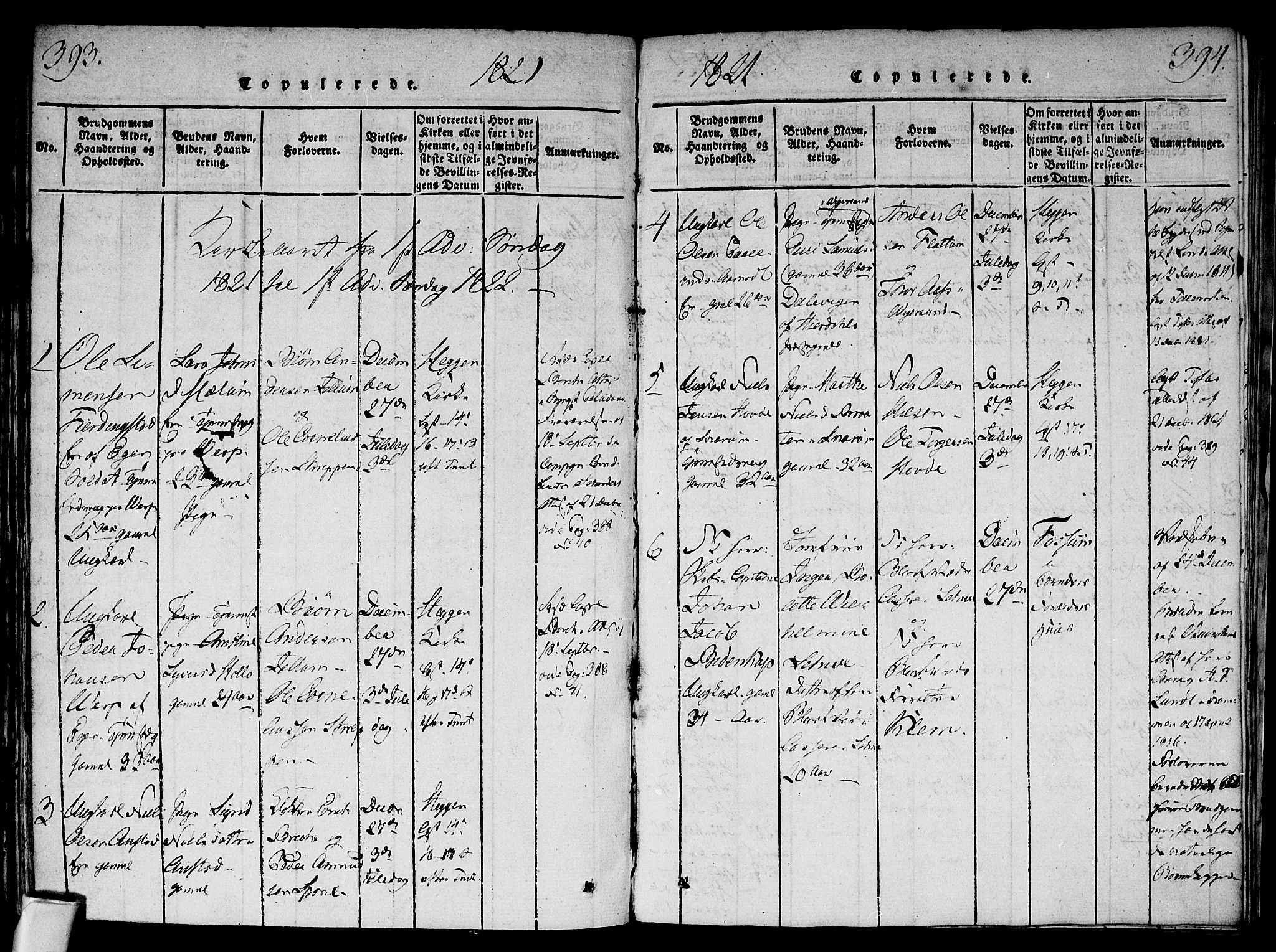 Modum kirkebøker, AV/SAKO-A-234/F/Fa/L0004: Parish register (official) no. 4, 1818-1824, p. 393-394