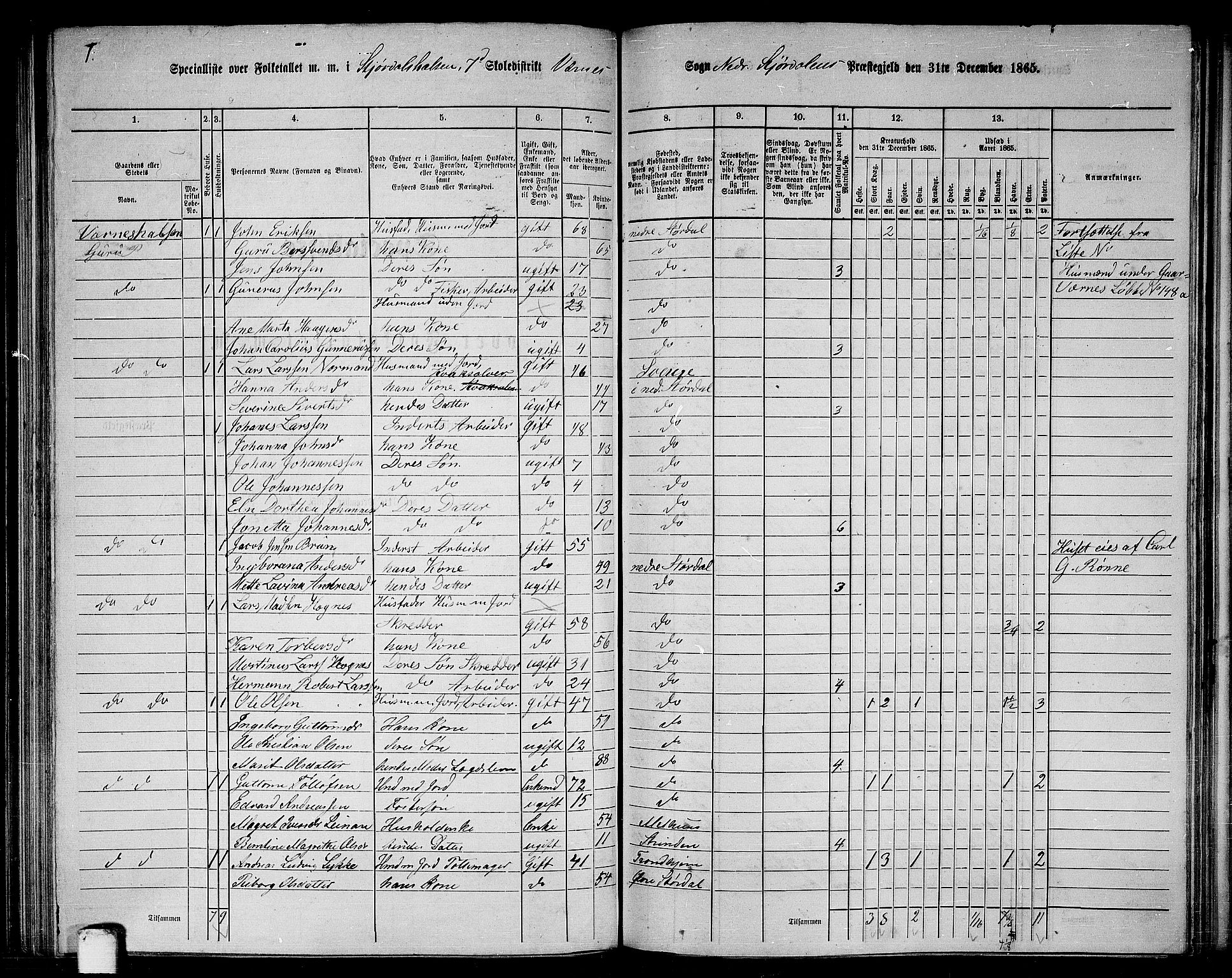 RA, 1865 census for Nedre Stjørdal, 1865, p. 165