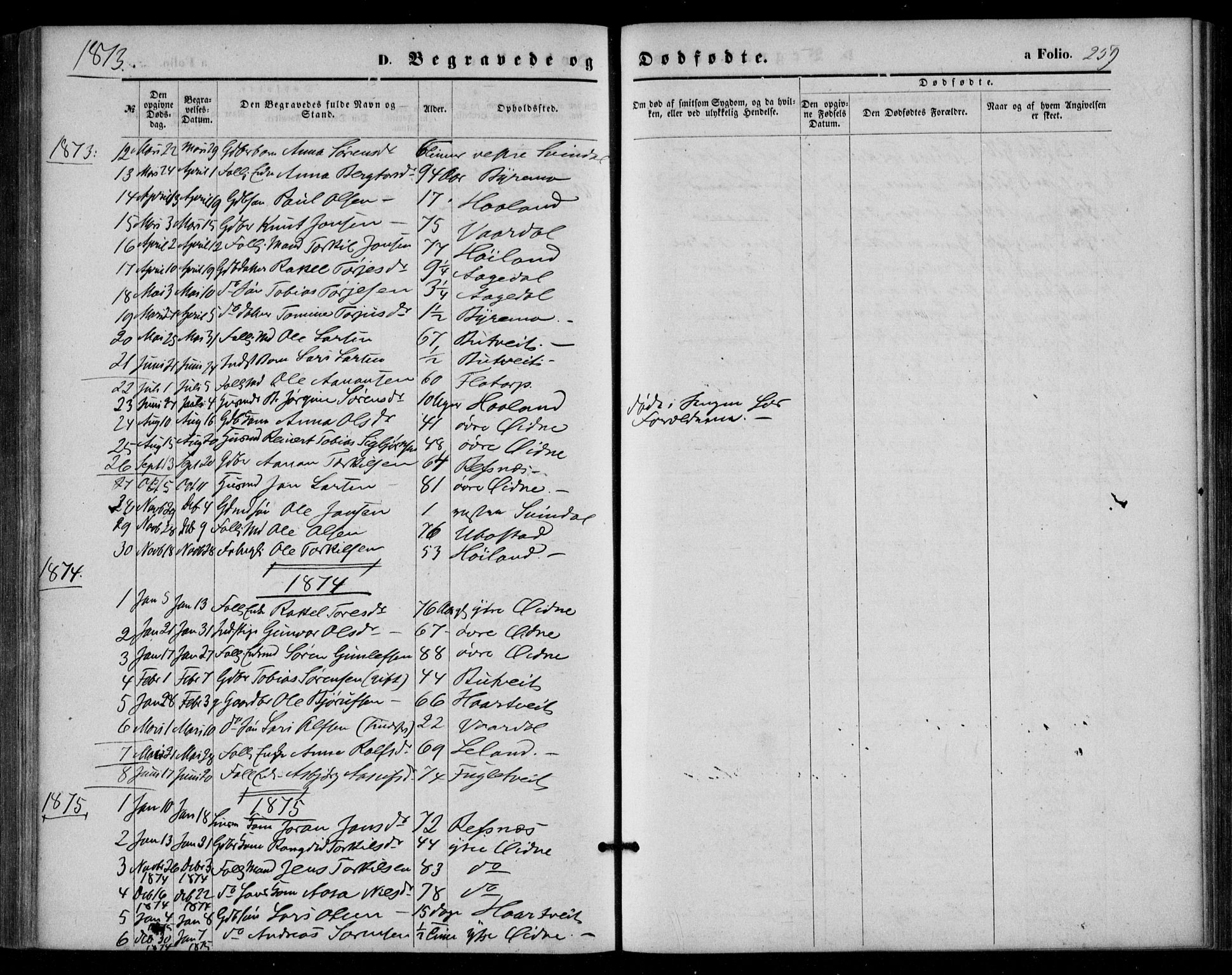 Bjelland sokneprestkontor, SAK/1111-0005/F/Fa/Fac/L0002: Parish register (official) no. A 2, 1866-1887, p. 259