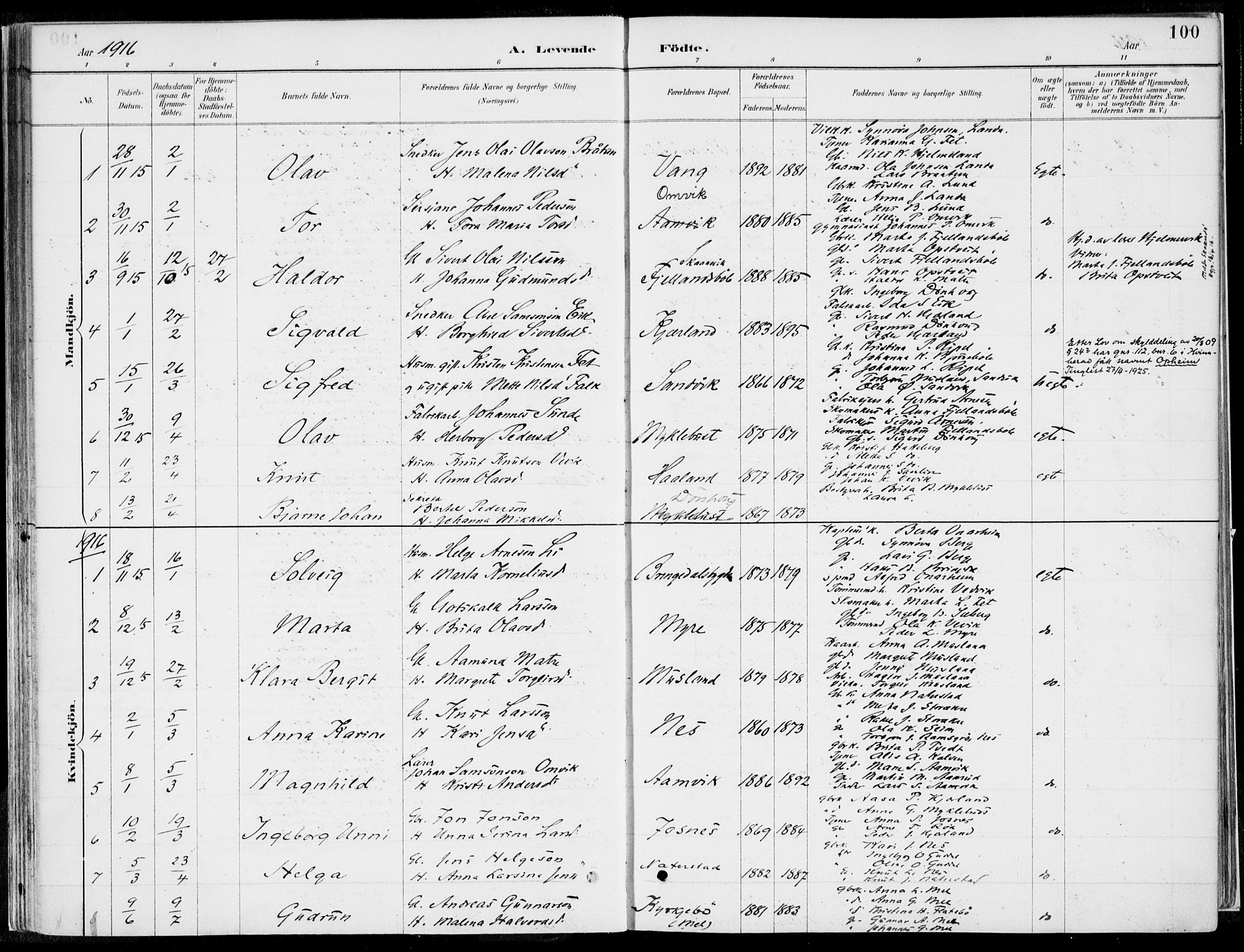 Kvinnherad sokneprestembete, SAB/A-76401/H/Haa: Parish register (official) no. B  1, 1887-1921, p. 100