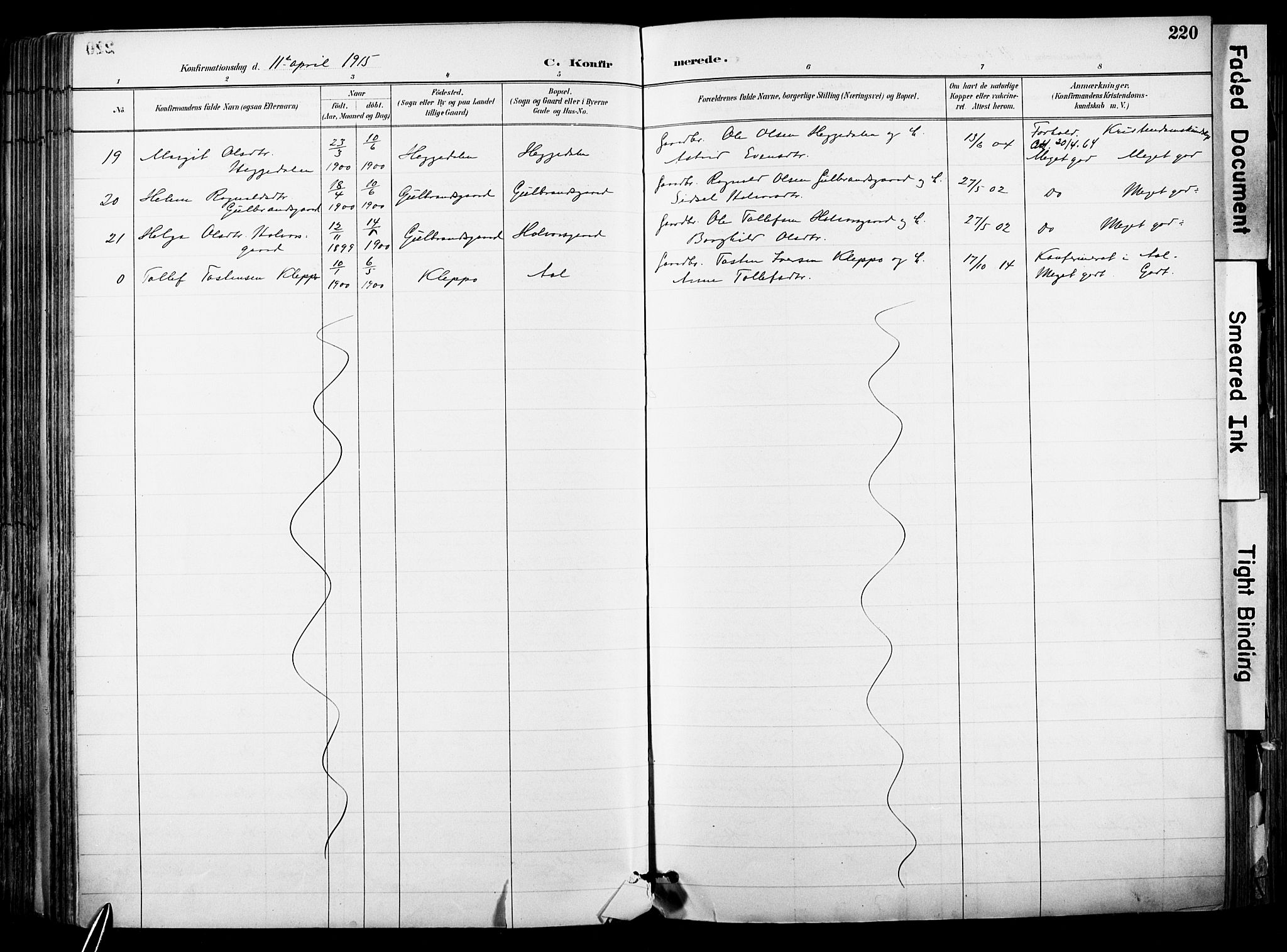 Hol kirkebøker, SAKO/A-227/F/Fa/L0003: Parish register (official) no. I 3, 1887-1918, p. 220