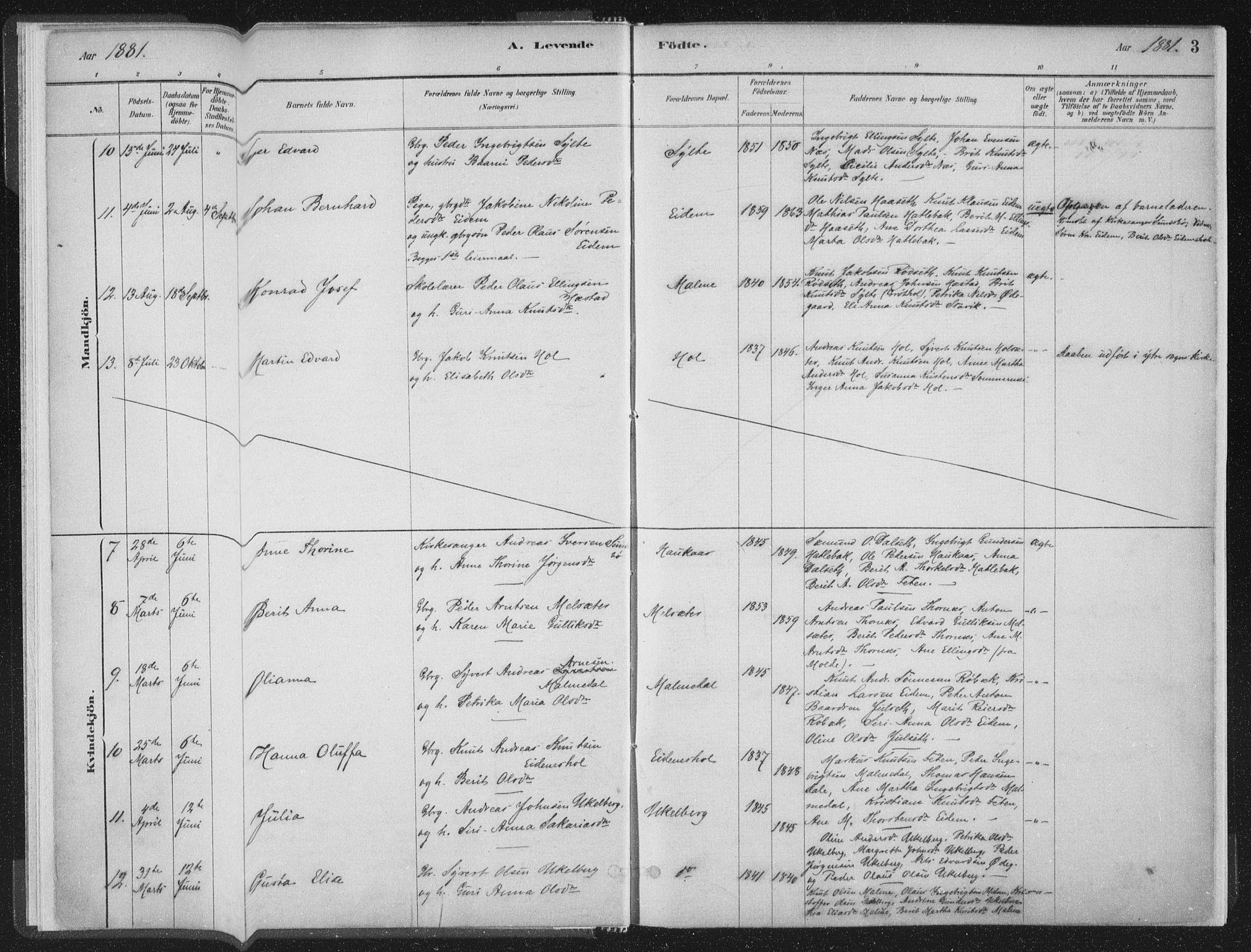 Ministerialprotokoller, klokkerbøker og fødselsregistre - Møre og Romsdal, AV/SAT-A-1454/564/L0740: Parish register (official) no. 564A01, 1880-1899, p. 3