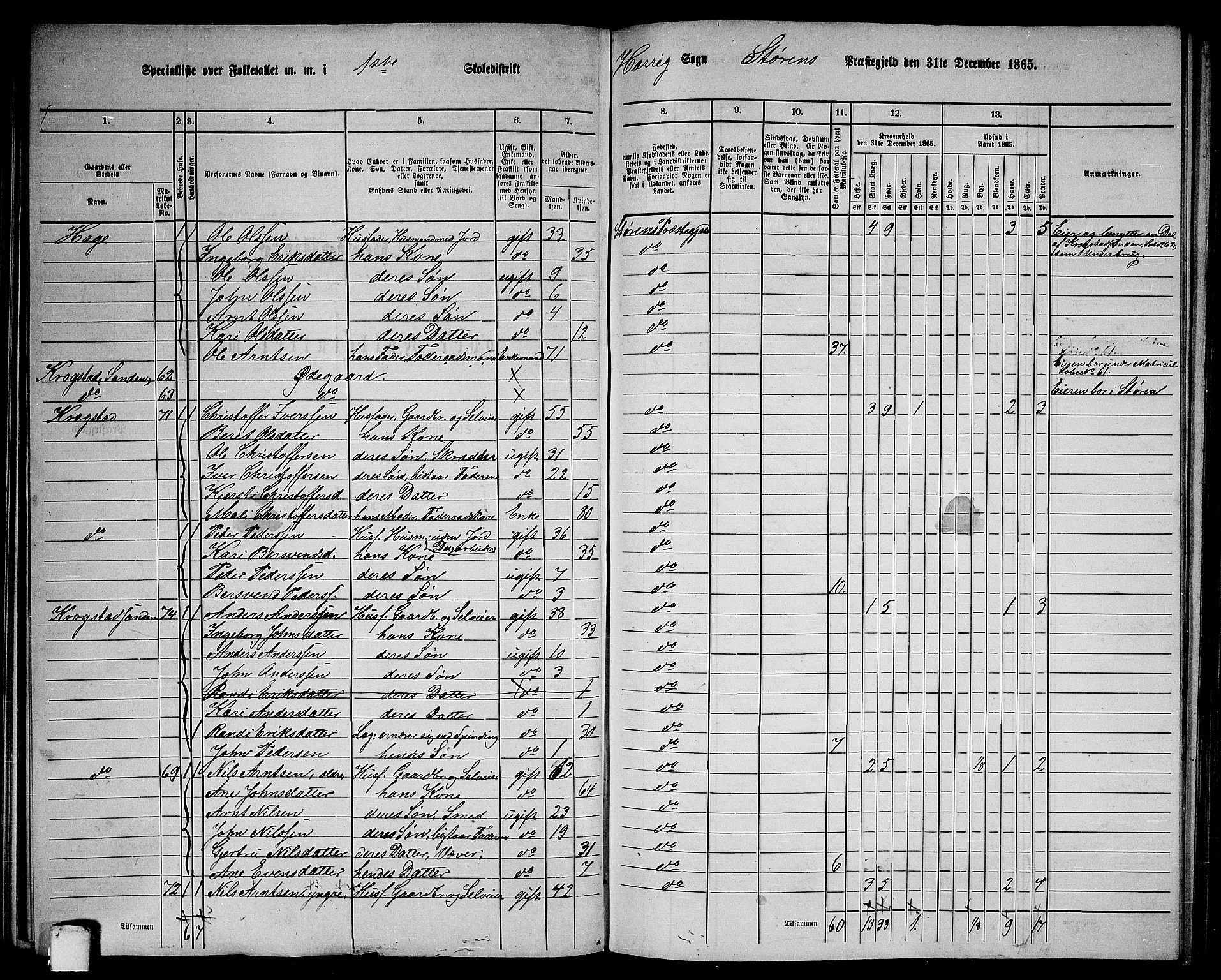 RA, 1865 census for Støren, 1865, p. 124