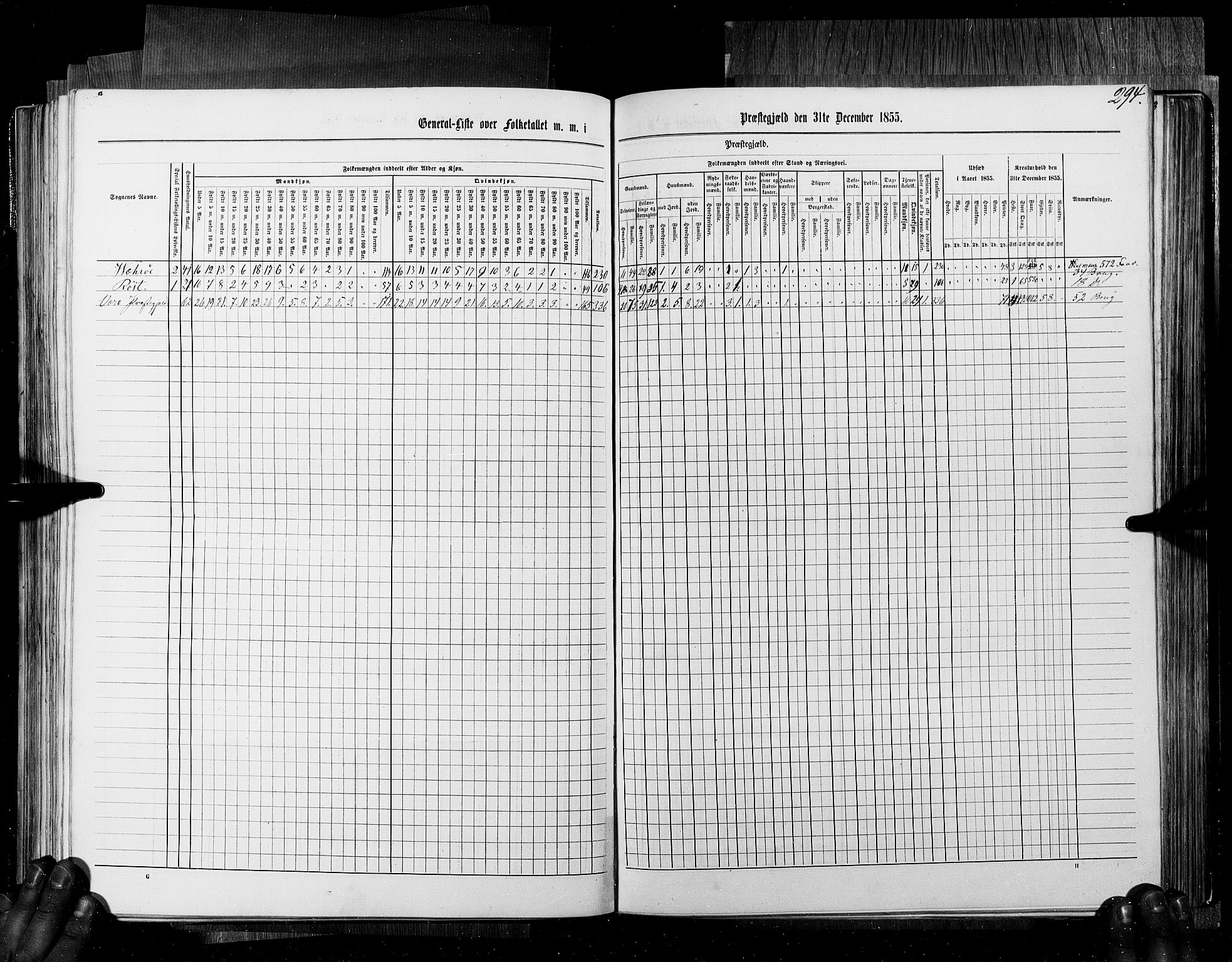 RA, Census 1855, vol. 6B: Nordland amt og Finnmarken amt, 1855, p. 294