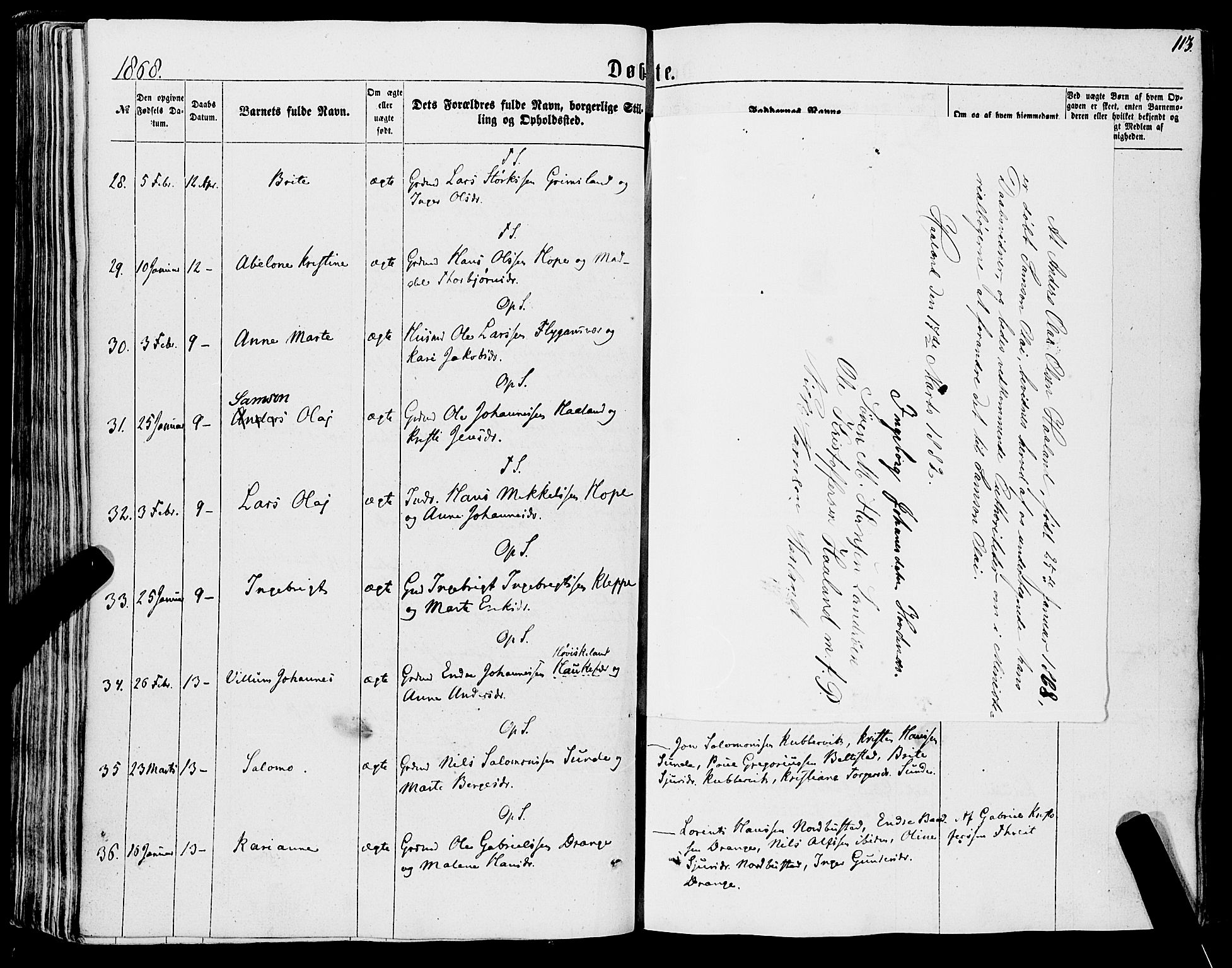 Tysnes sokneprestembete, AV/SAB-A-78601/H/Haa: Parish register (official) no. A 11, 1860-1871, p. 113