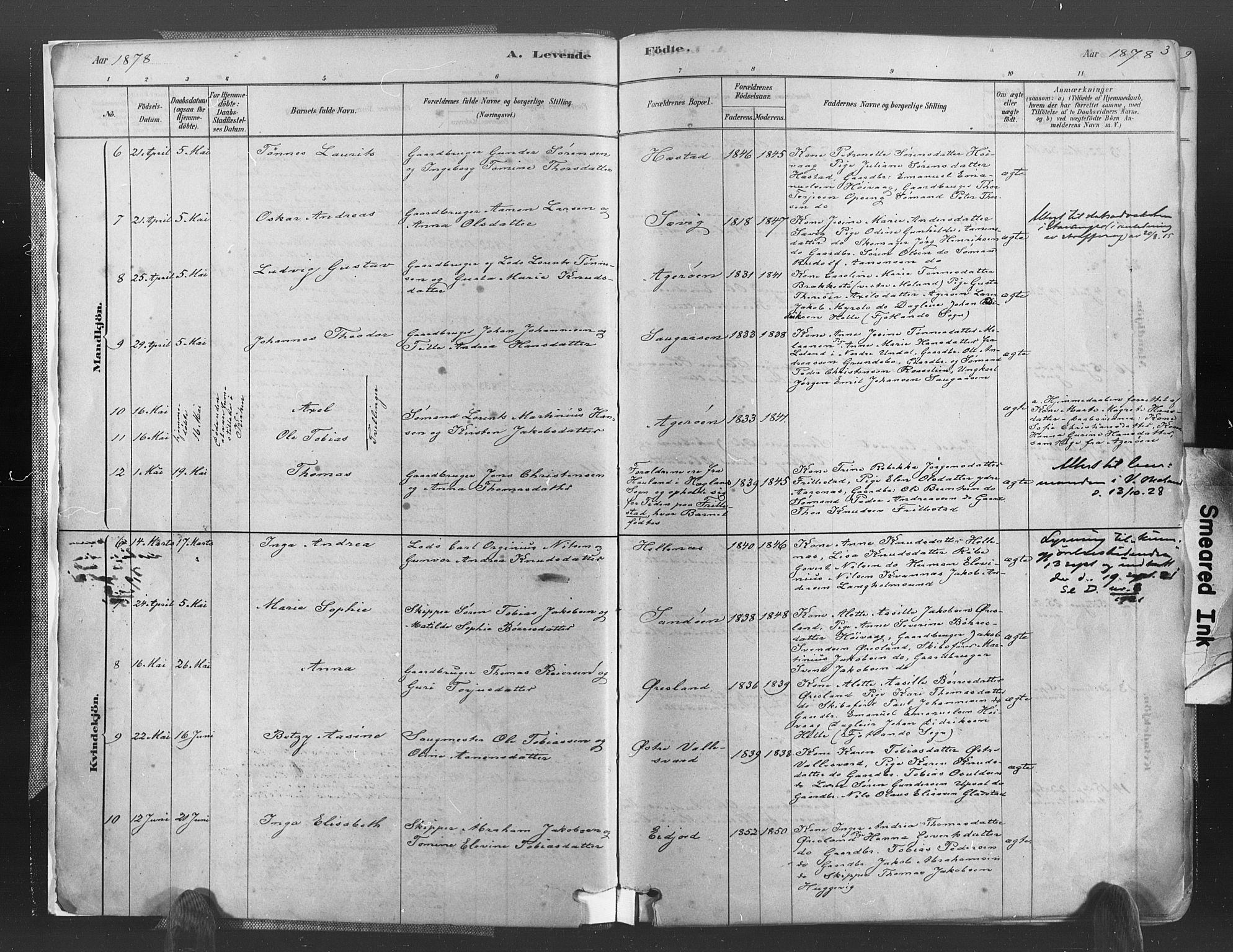 Høvåg sokneprestkontor, AV/SAK-1111-0025/F/Fa/L0005: Parish register (official) no. A 5, 1878-1893, p. 3