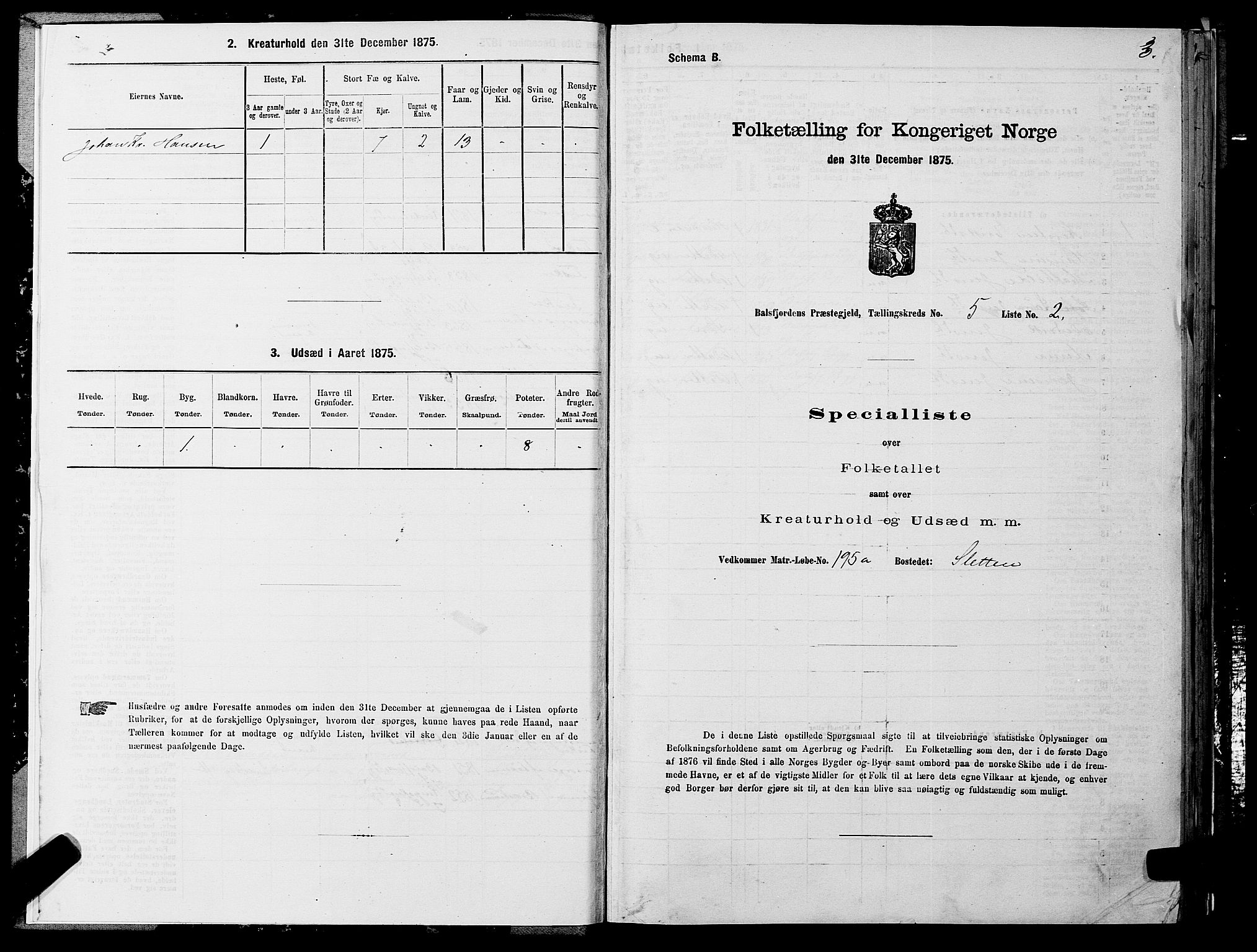 SATØ, 1875 census for 1933P Balsfjord, 1875, p. 3003