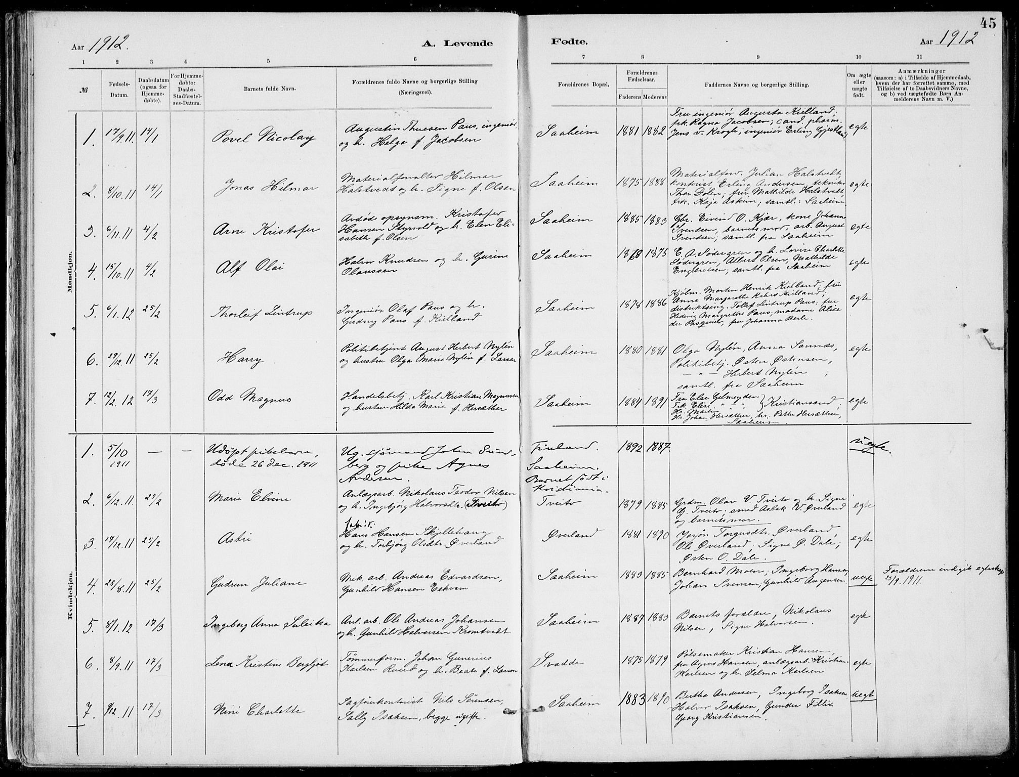 Rjukan kirkebøker, SAKO/A-294/F/Fa/L0001: Parish register (official) no. 1, 1878-1912, p. 45