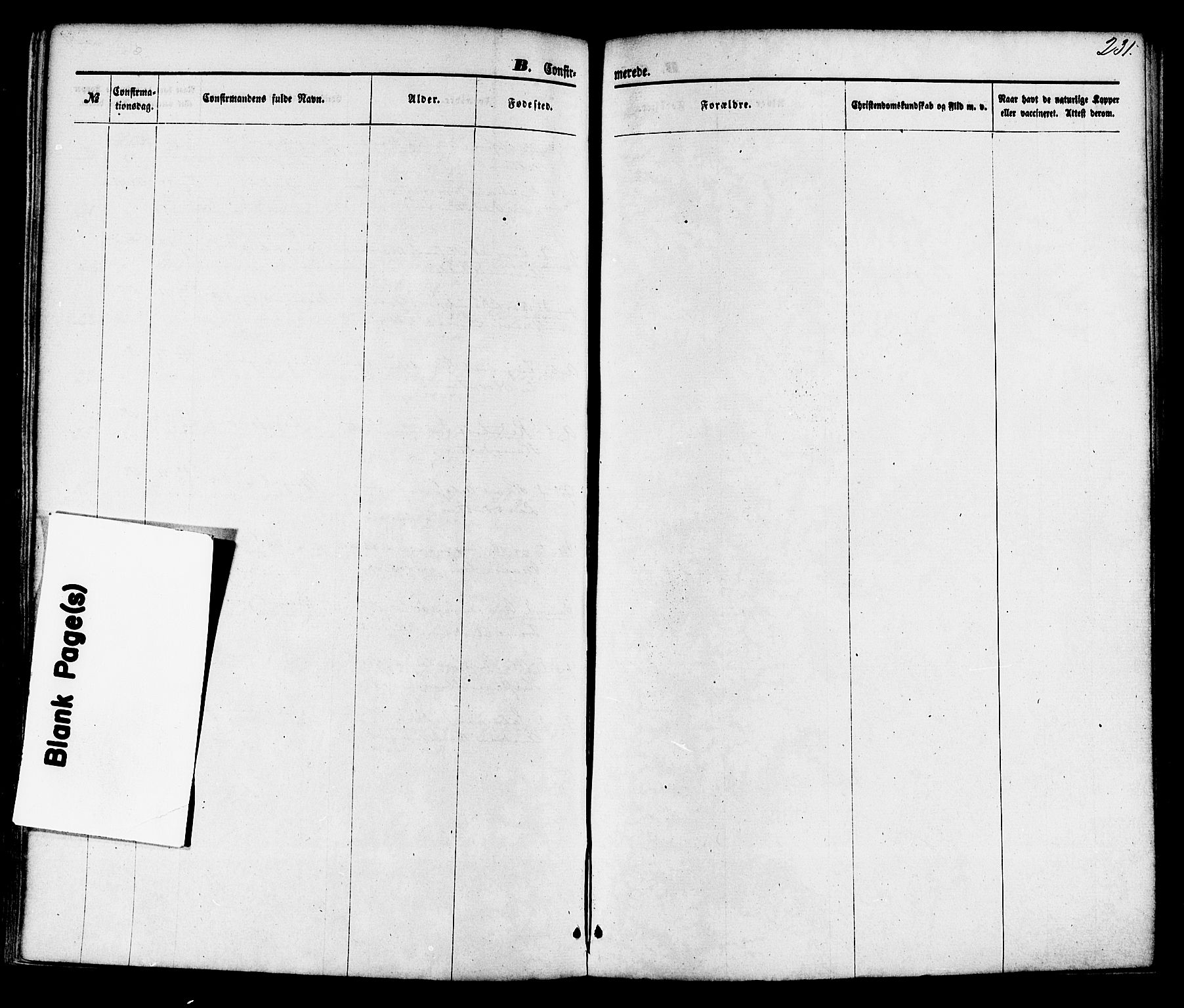 Gjerpen kirkebøker, SAKO/A-265/F/Fa/L0009: Parish register (official) no. I 9, 1872-1885, p. 231