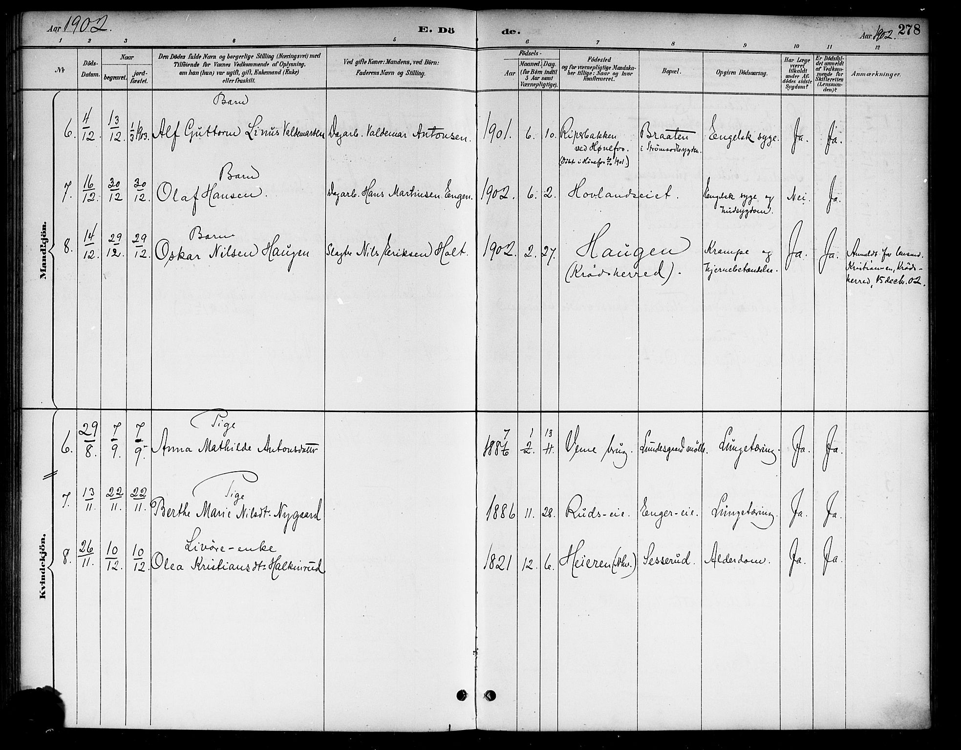 Lunder kirkebøker, AV/SAKO-A-629/G/Ga/L0004: Parish register (copy) no. I 4, 1889-1917, p. 278