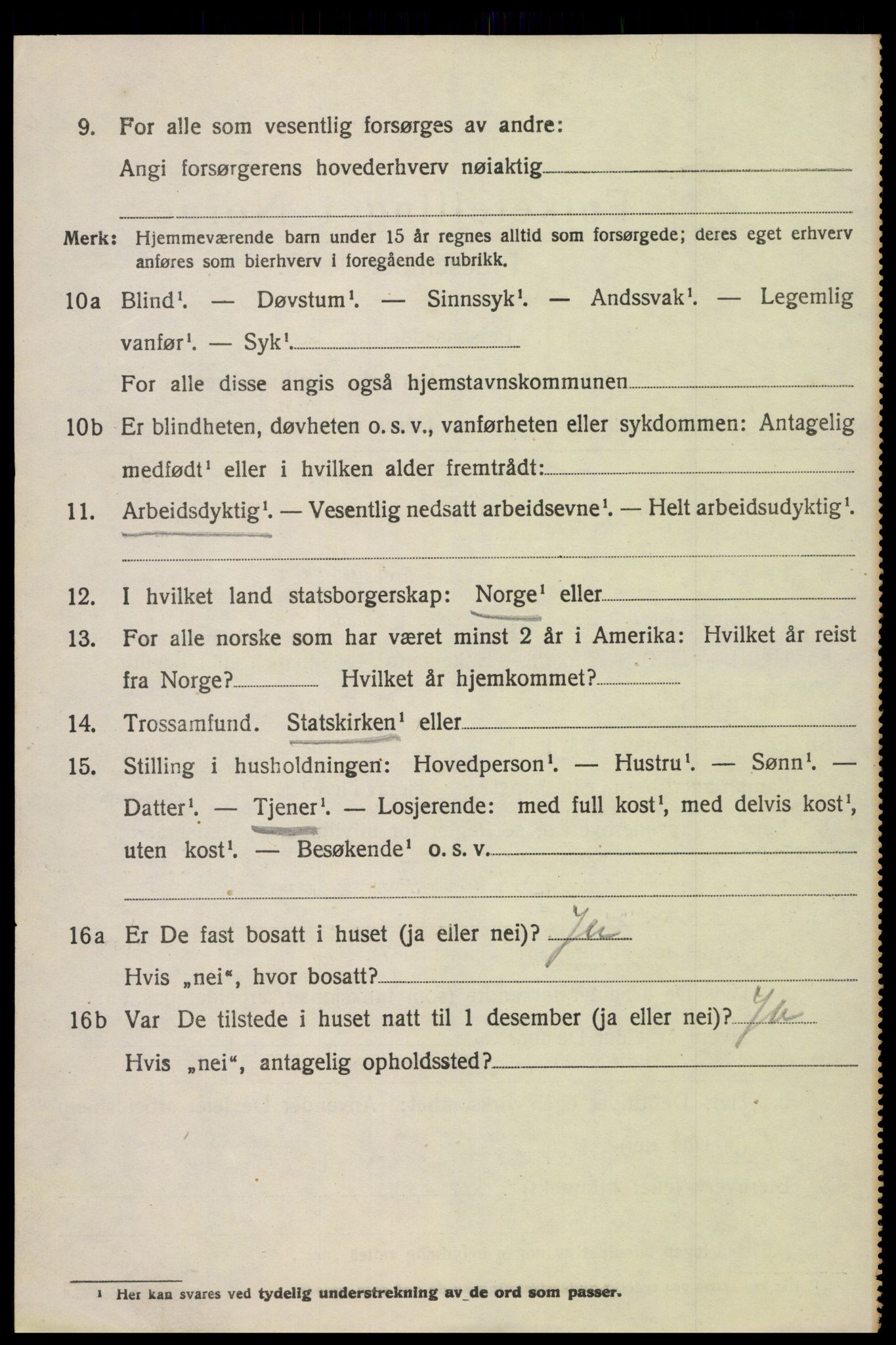 SAK, 1920 census for Hornnes, 1920, p. 2532