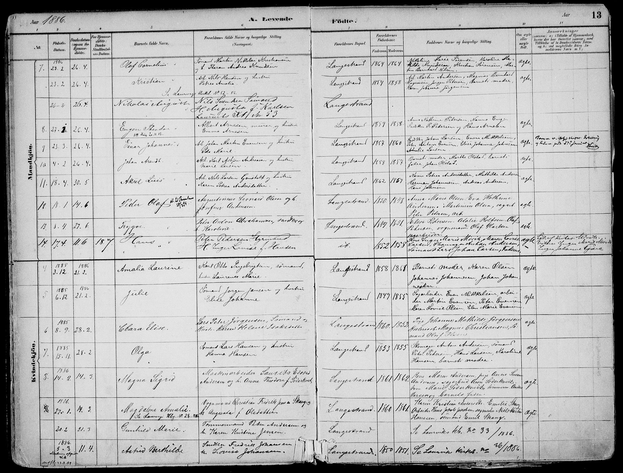 Larvik kirkebøker, AV/SAKO-A-352/F/Fb/L0004: Parish register (official) no. II 4, 1884-1902, p. 13