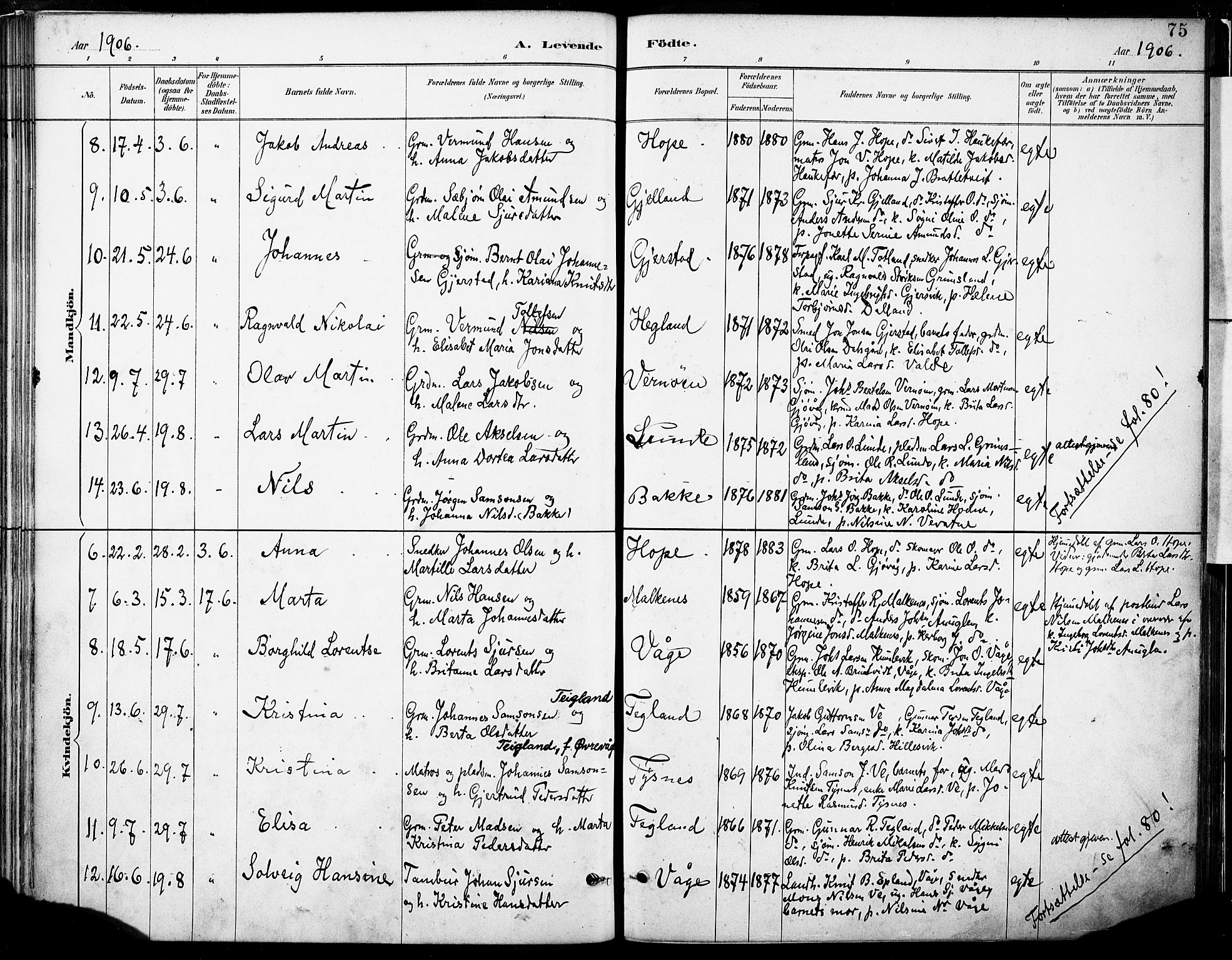 Tysnes sokneprestembete, SAB/A-78601/H/Haa: Parish register (official) no. B 1, 1887-1906, p. 75