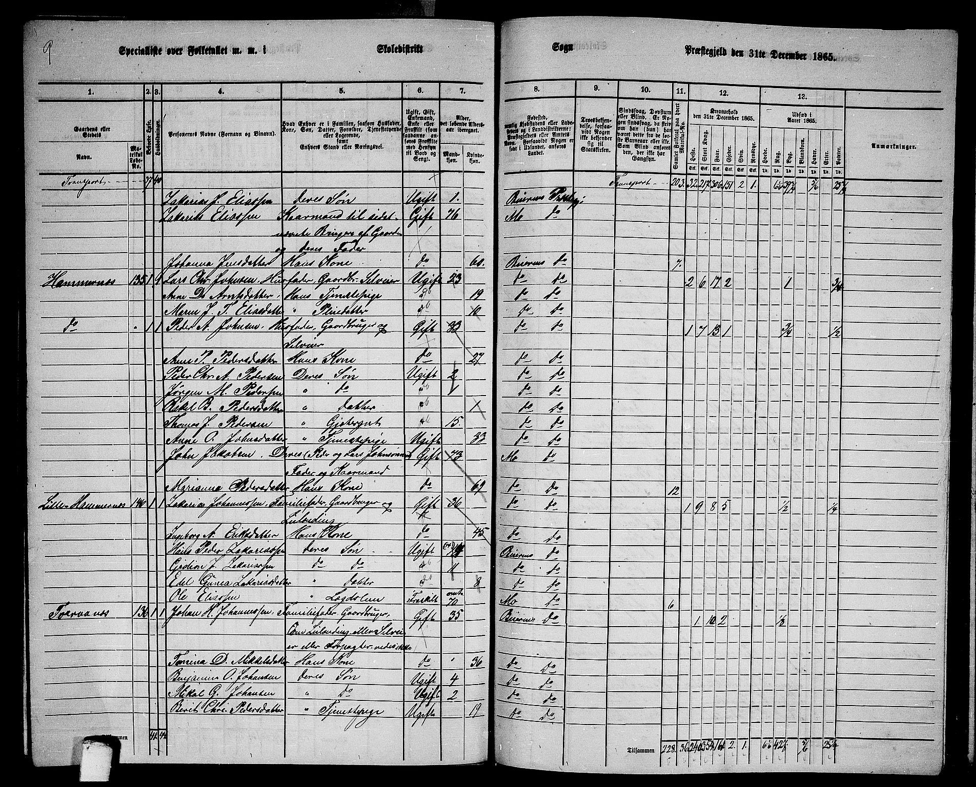 RA, 1865 census for Beiarn, 1865, p. 50