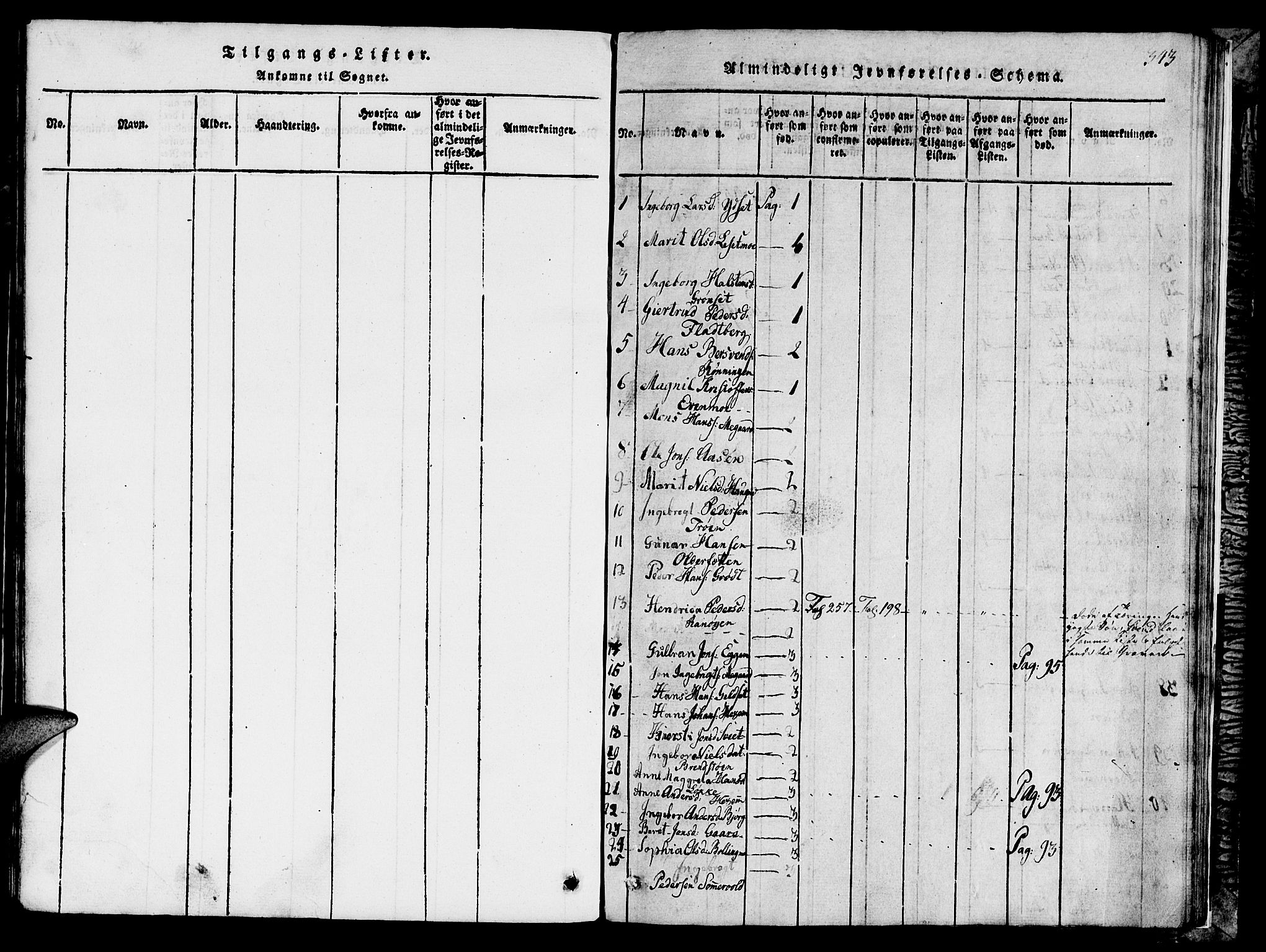 Ministerialprotokoller, klokkerbøker og fødselsregistre - Sør-Trøndelag, SAT/A-1456/685/L0976: Parish register (copy) no. 685C01, 1817-1878, p. 343