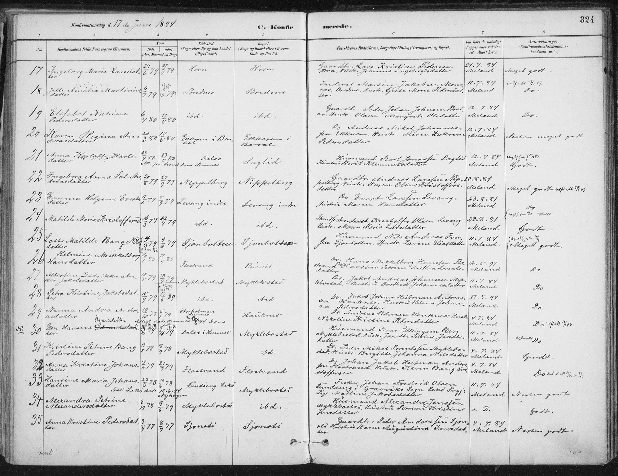 Ministerialprotokoller, klokkerbøker og fødselsregistre - Nordland, AV/SAT-A-1459/838/L0552: Parish register (official) no. 838A10, 1880-1910, p. 324