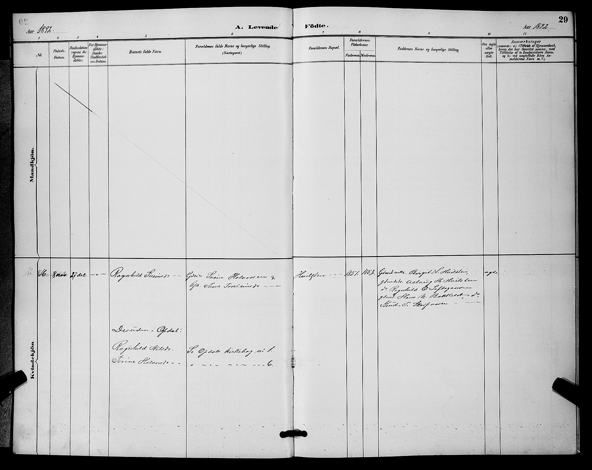 Nore kirkebøker, AV/SAKO-A-238/G/Ga/L0003: Parish register (copy) no. I 3, 1886-1903, p. 29