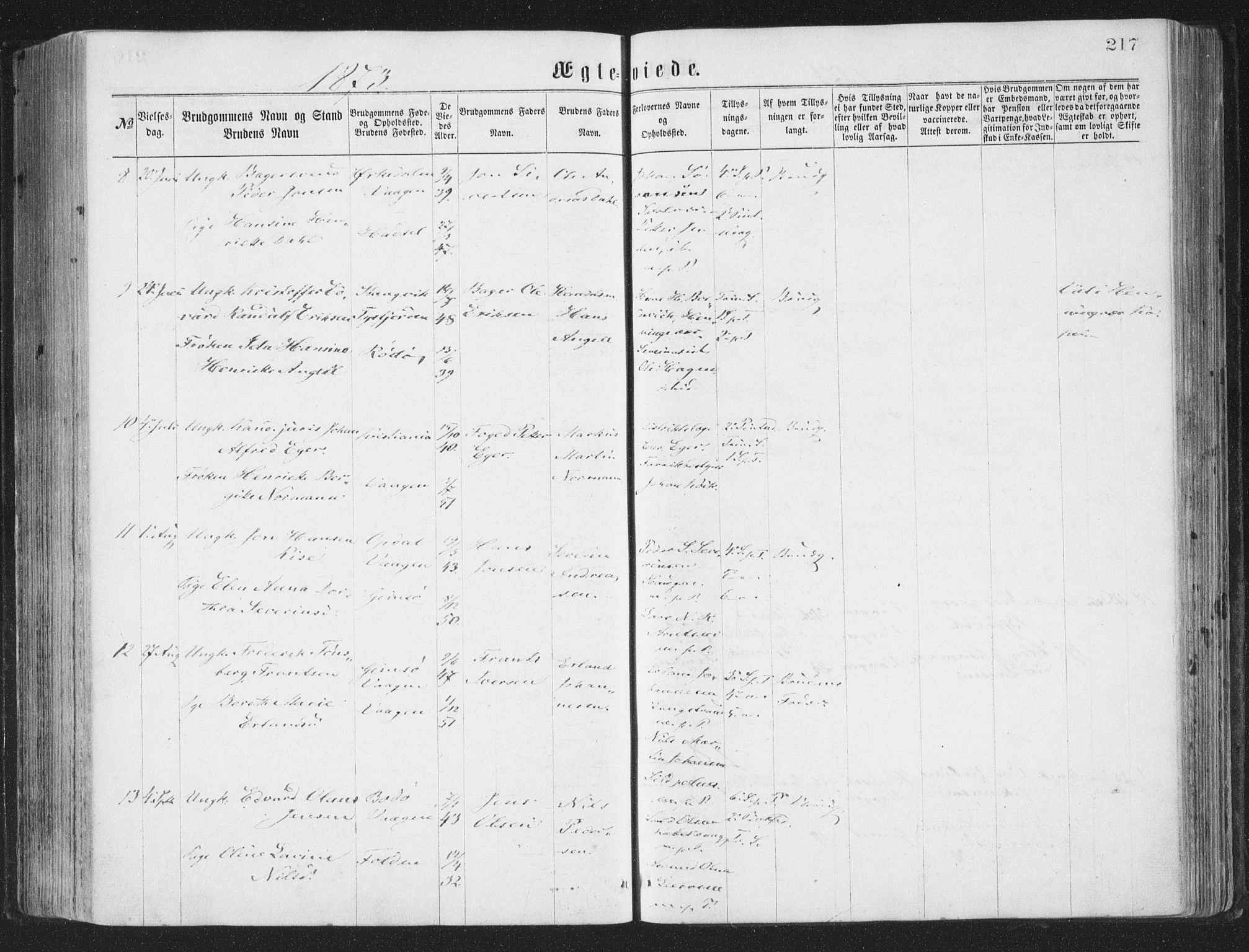 Ministerialprotokoller, klokkerbøker og fødselsregistre - Nordland, AV/SAT-A-1459/874/L1057: Parish register (official) no. 874A01, 1866-1877, p. 217