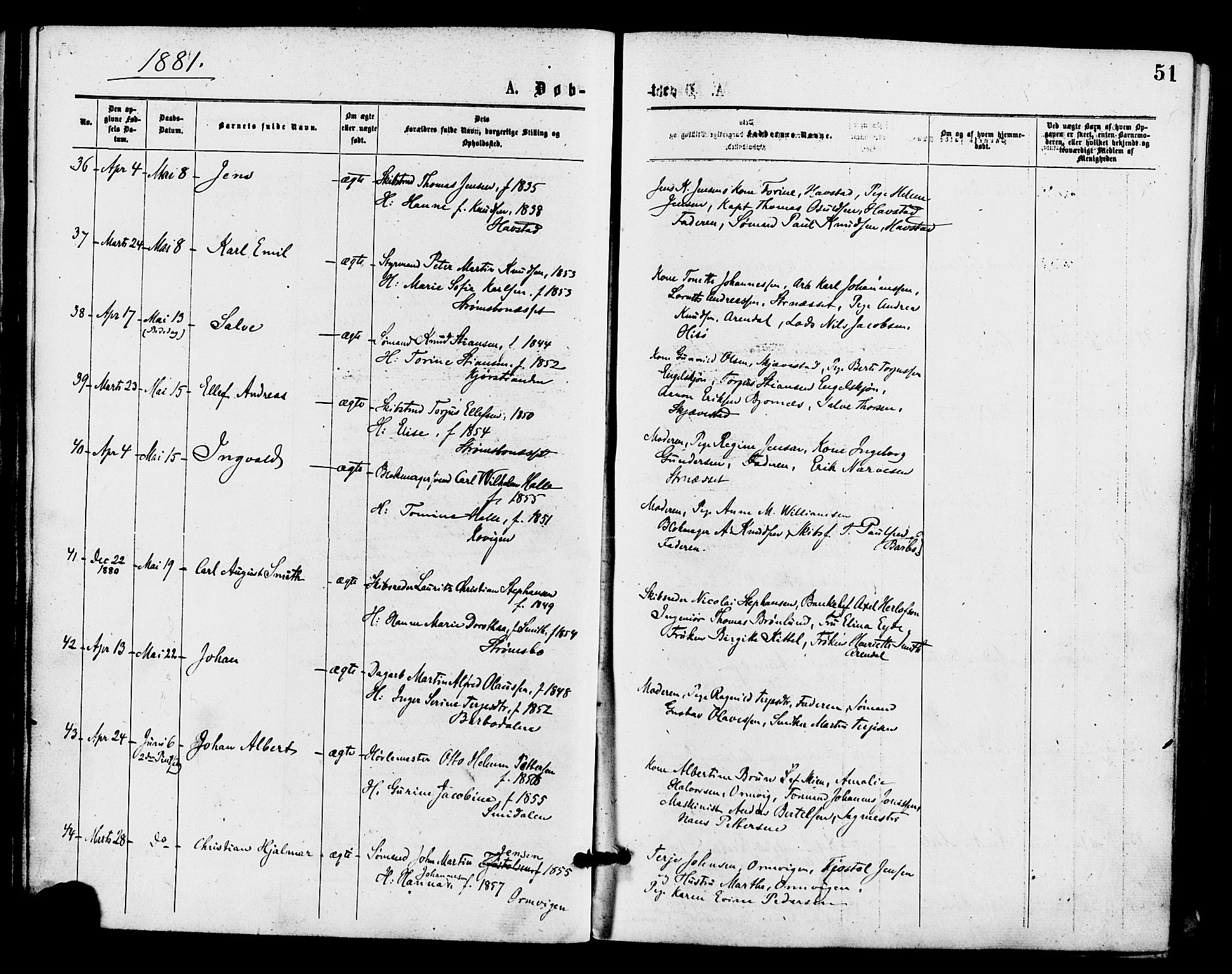 Barbu sokneprestkontor, AV/SAK-1111-0003/F/Fa/L0001: Parish register (official) no. A 1 /1, 1878-1883, p. 51