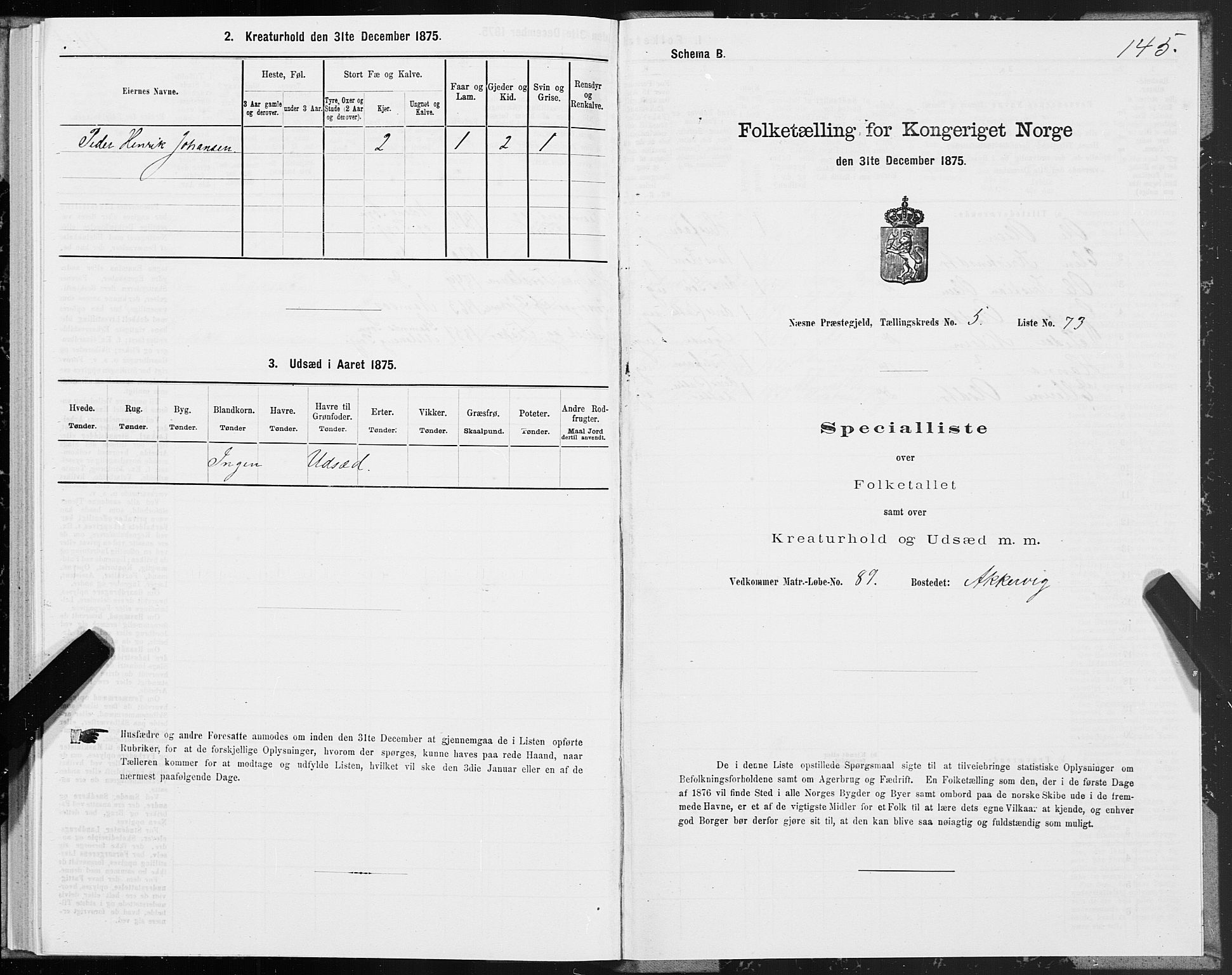 SAT, 1875 census for 1828P Nesna, 1875, p. 4145