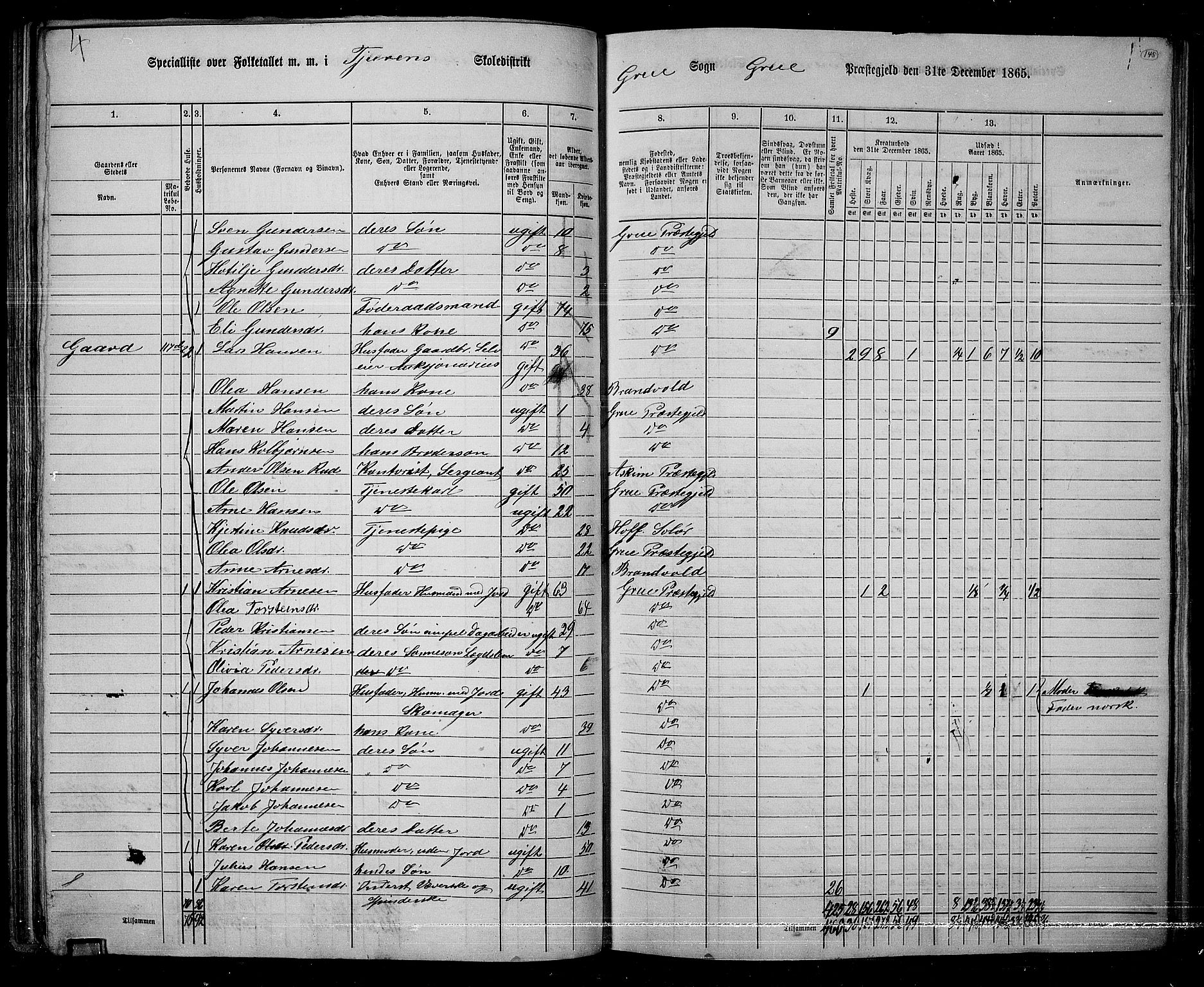 RA, 1865 census for Grue, 1865, p. 124