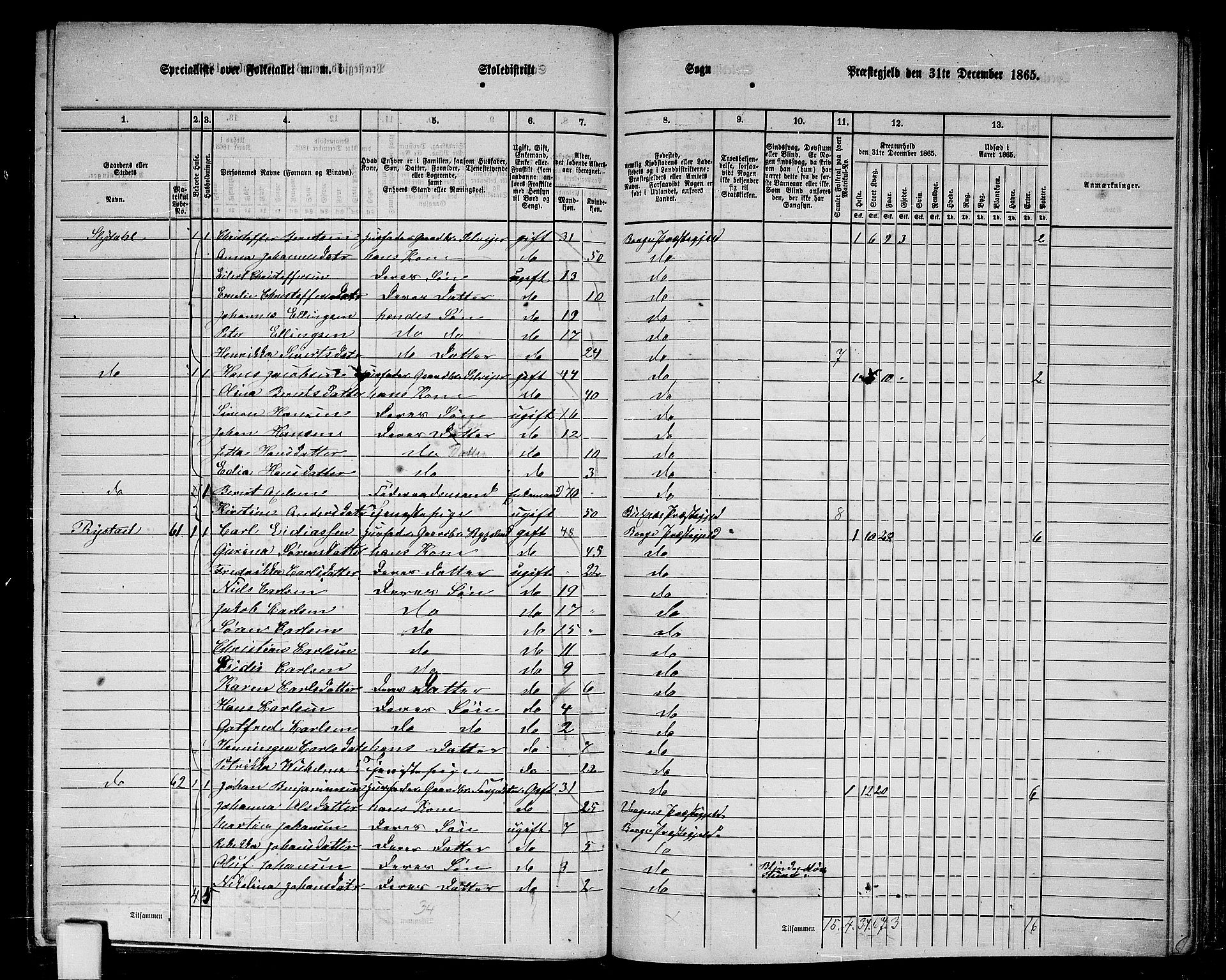 RA, 1865 census for Borge, 1865, p. 28